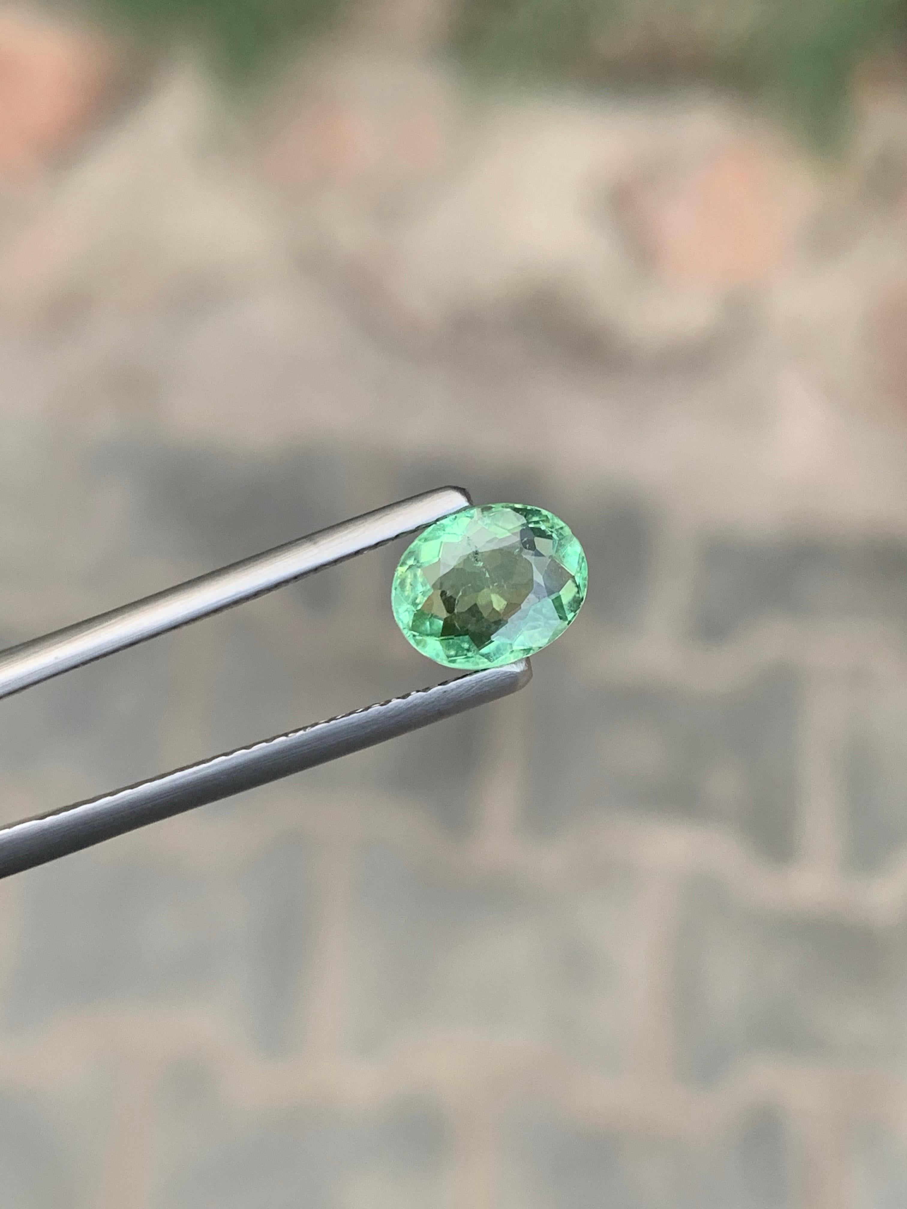 da uomo o donna 1,20 carati di tormalina Paraiba naturale sfusa di forma ovale dal Mozambico in vendita