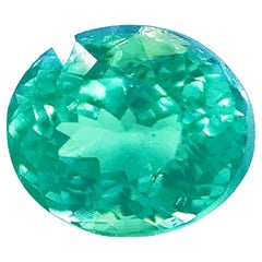 Used 1.20 Carat Paraiba Tourmaline Loose Stone in Nylon Green and Blue 