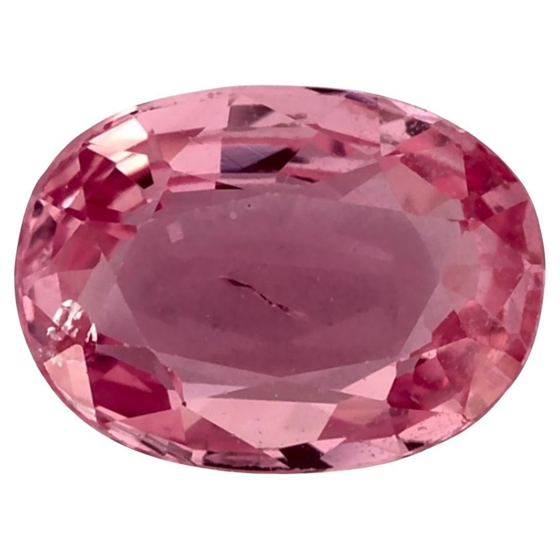 1.20 Ct Pink Sapphire Oval Loose Gemstone (pierre précieuse en vrac)