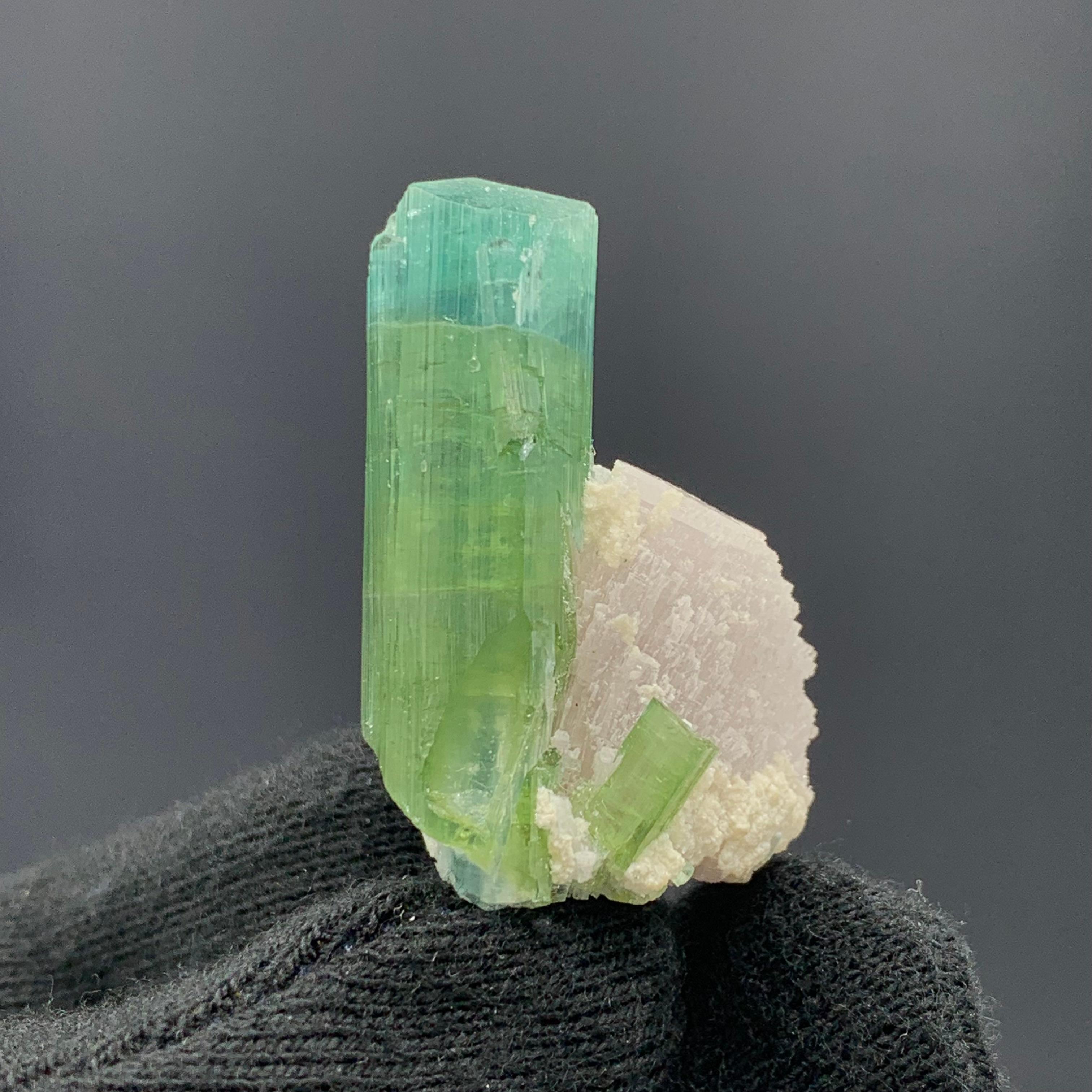 12.05 Gram Glamorous Bi Color Tourmaline Specimen From Kunar, Afghanistan 

Weight: 12.05 Gram 
Dimension: 3.4 x 1.7 x 1.6 Cm
Origin: kunar, Afghanistan 

Tourmaline is a crystalline silicate mineral group in which boron is compounded with elements