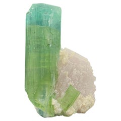 Spécimen de tourmaline glamour bicolore de Kunar, Afghanistan, 12,05 grammes 