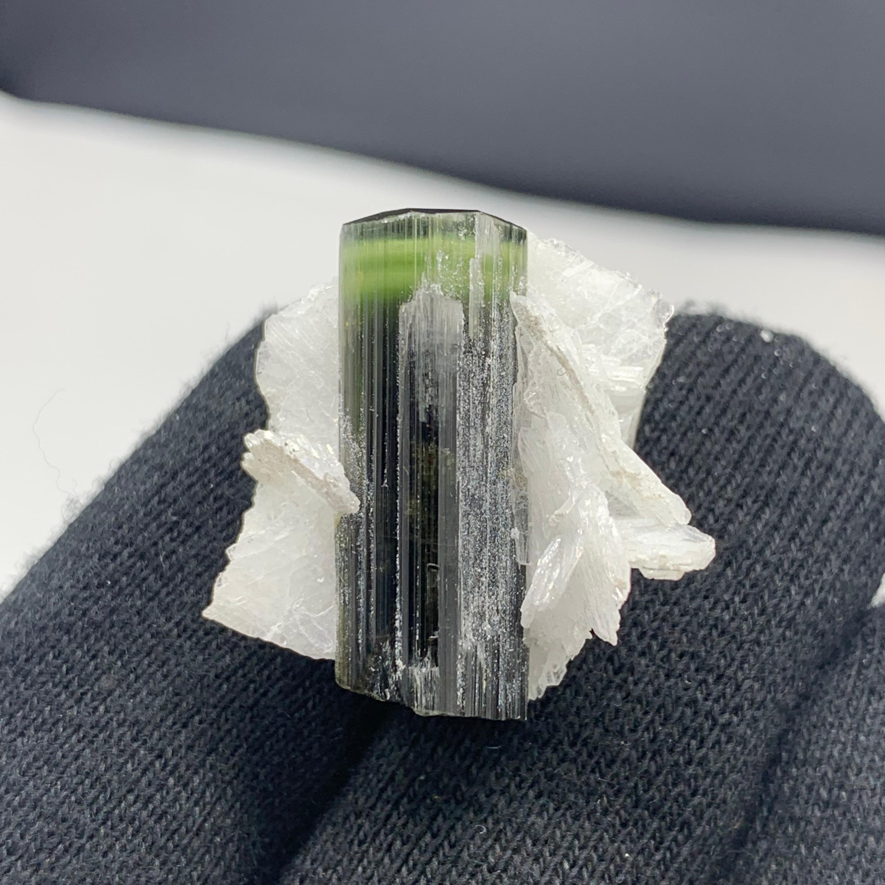 12.06 Gram Lovely Green Tourmaline Specimen From Skardu, Pakistan  For Sale 2