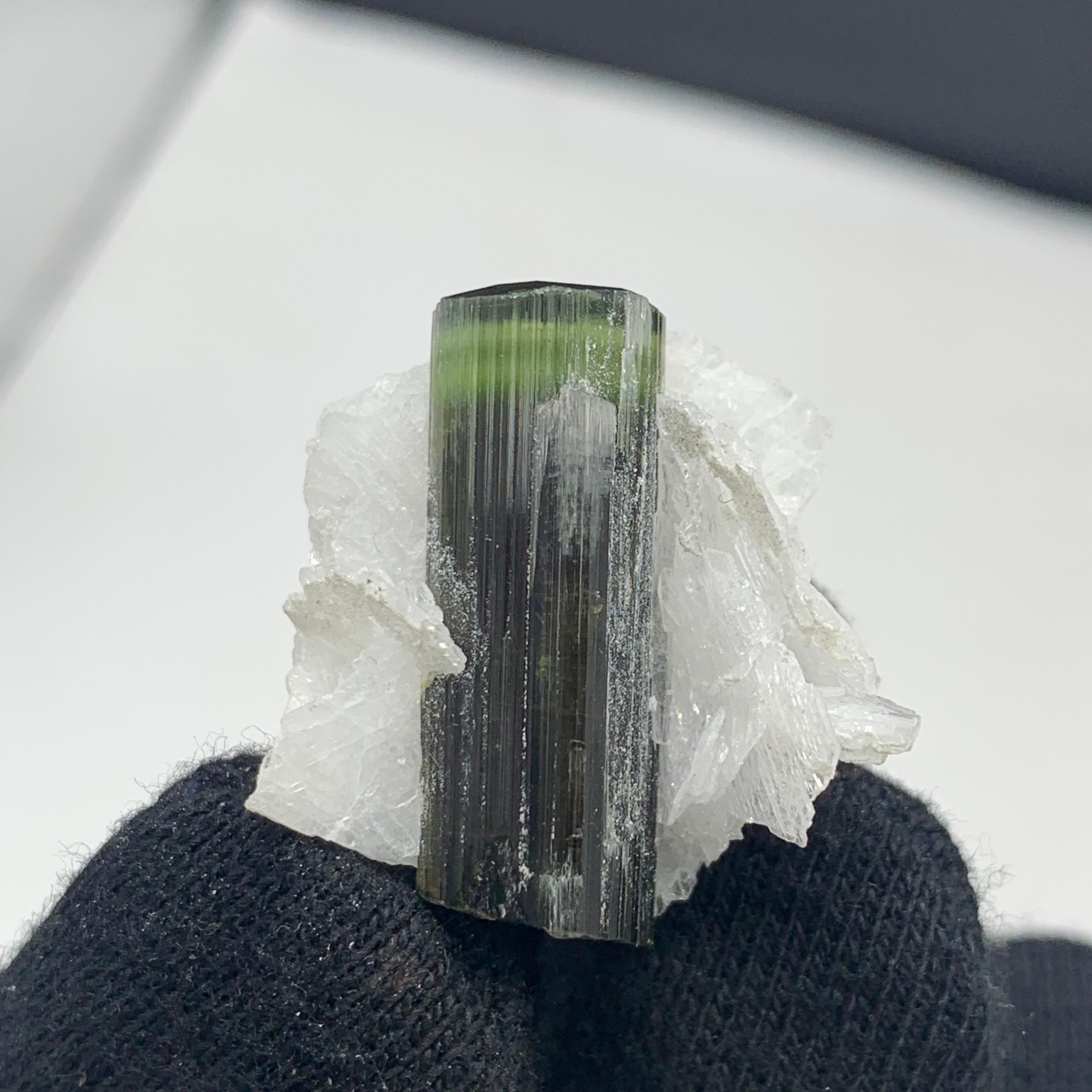 Precioso espécimen de turmalina verde de 12,06 gramos procedente de Skardu, Pakistán en venta 6