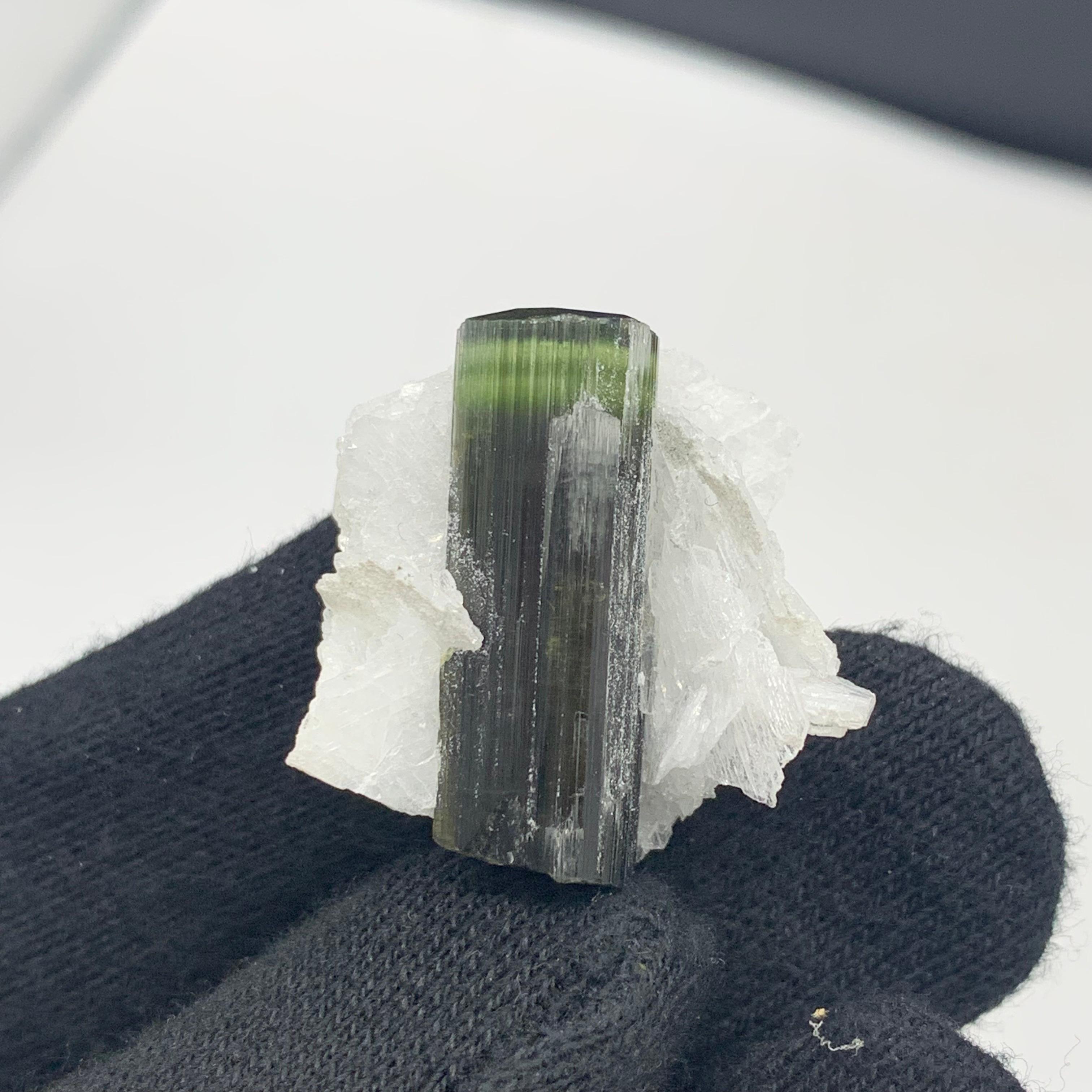 Precioso espécimen de turmalina verde de 12,06 gramos procedente de Skardu, Pakistán en venta 8