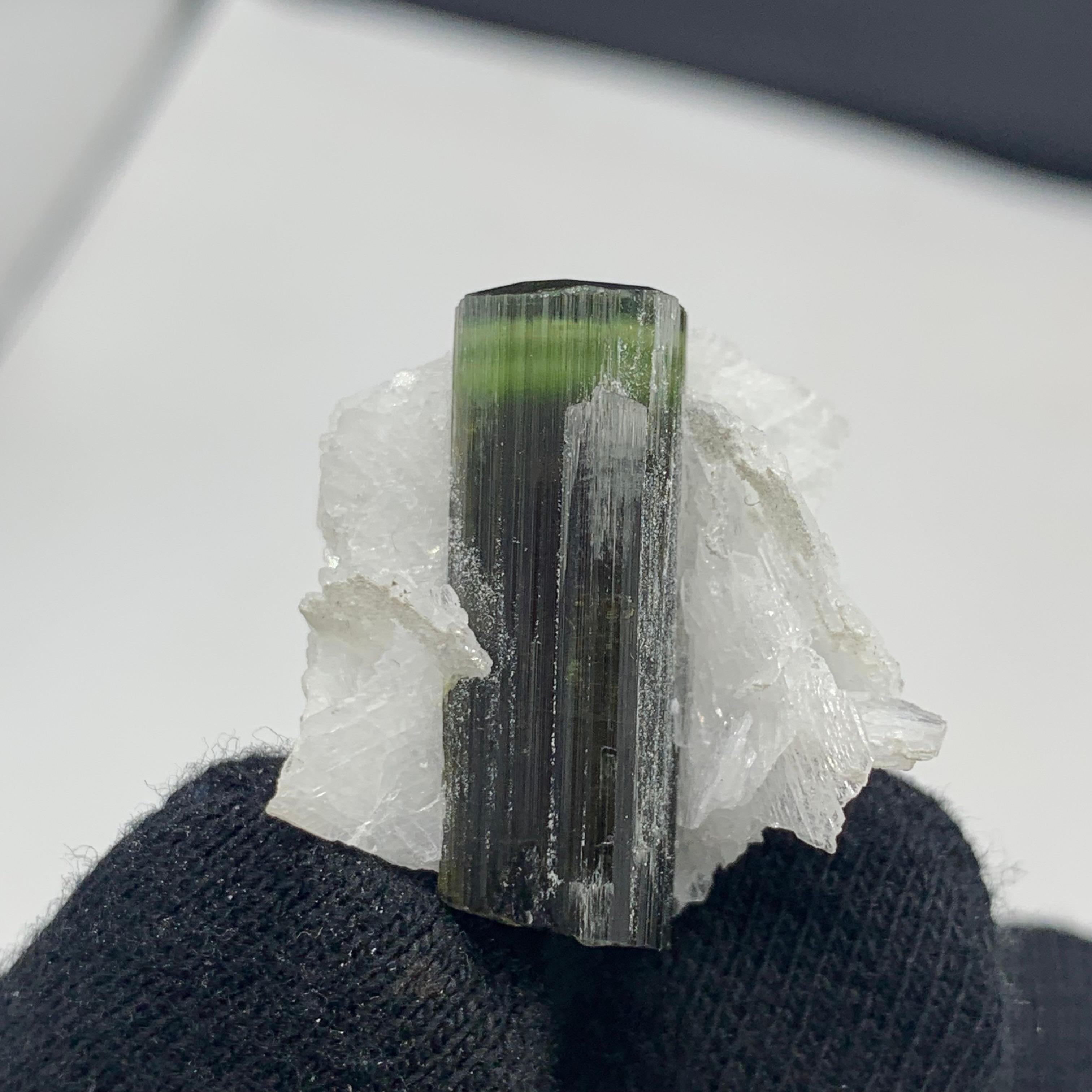 Precioso espécimen de turmalina verde de 12,06 gramos procedente de Skardu, Pakistán en venta 9