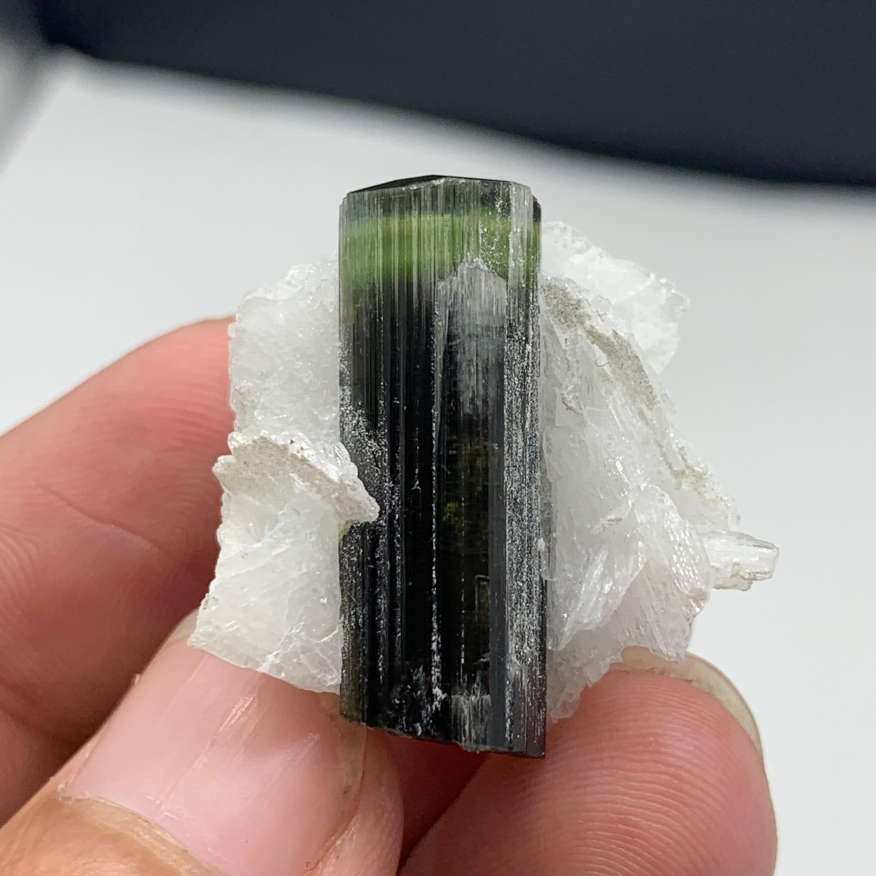 Precioso espécimen de turmalina verde de 12,06 gramos procedente de Skardu, Pakistán 

Peso: 12,06 gramos 
Dimensión: 2,7 x 2,6 x 1,9 Cm 
Origen: Skardu, Pakistán 

Turmalina es un nombre aplicado a una familia de minerales emparentados con