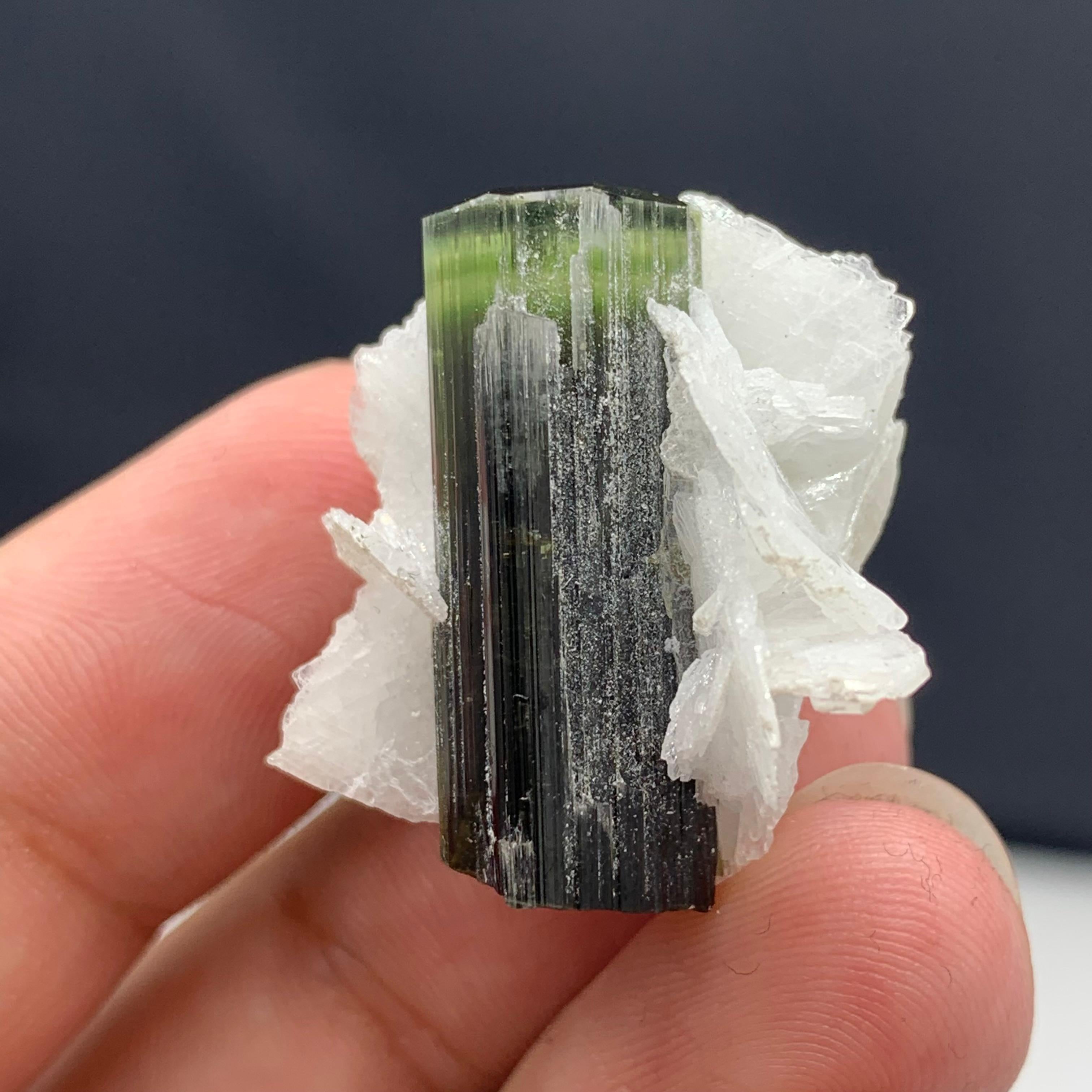 Precioso espécimen de turmalina verde de 12,06 gramos procedente de Skardu, Pakistán Pakistaní en venta
