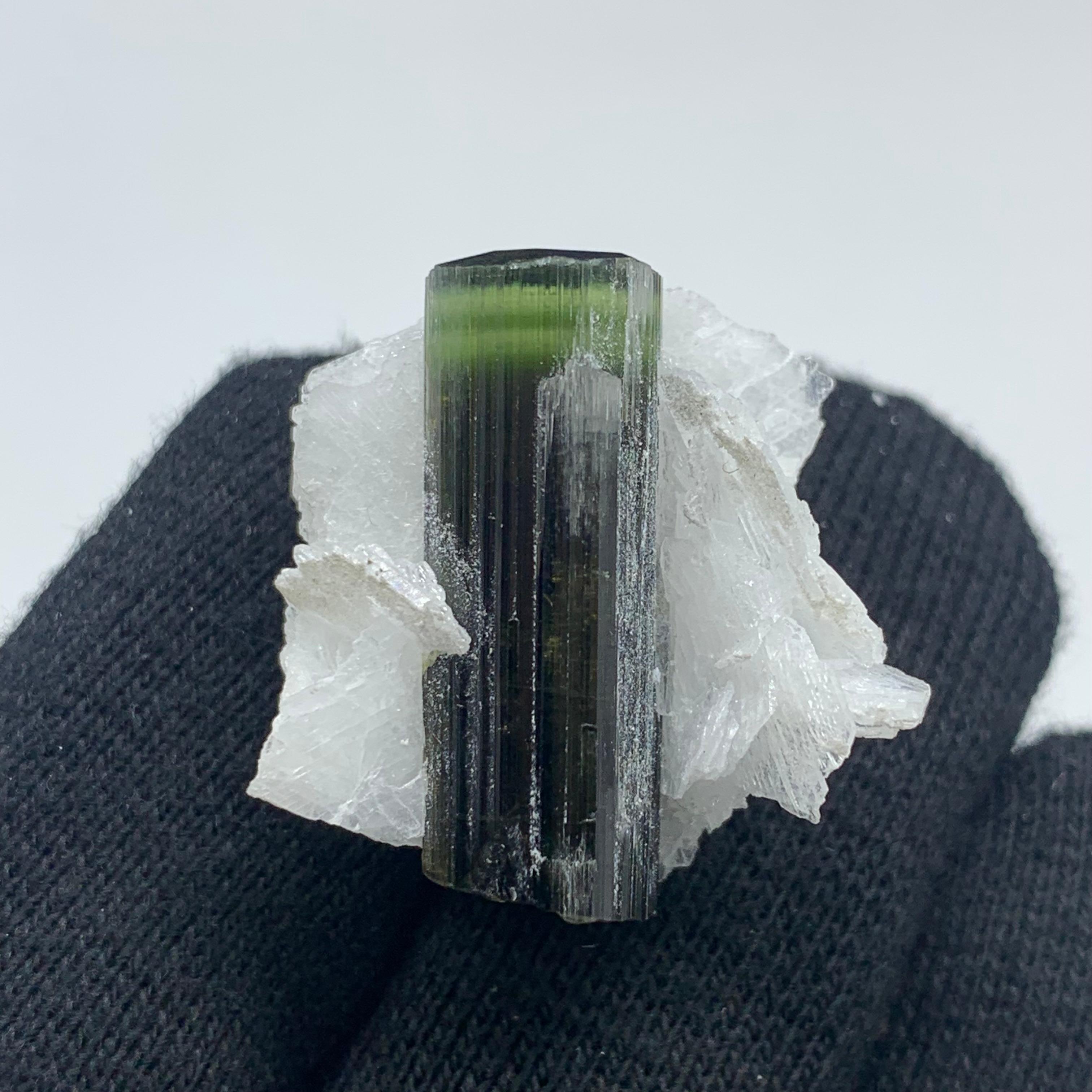 Precioso espécimen de turmalina verde de 12,06 gramos procedente de Skardu, Pakistán siglo XVIII y antes en venta