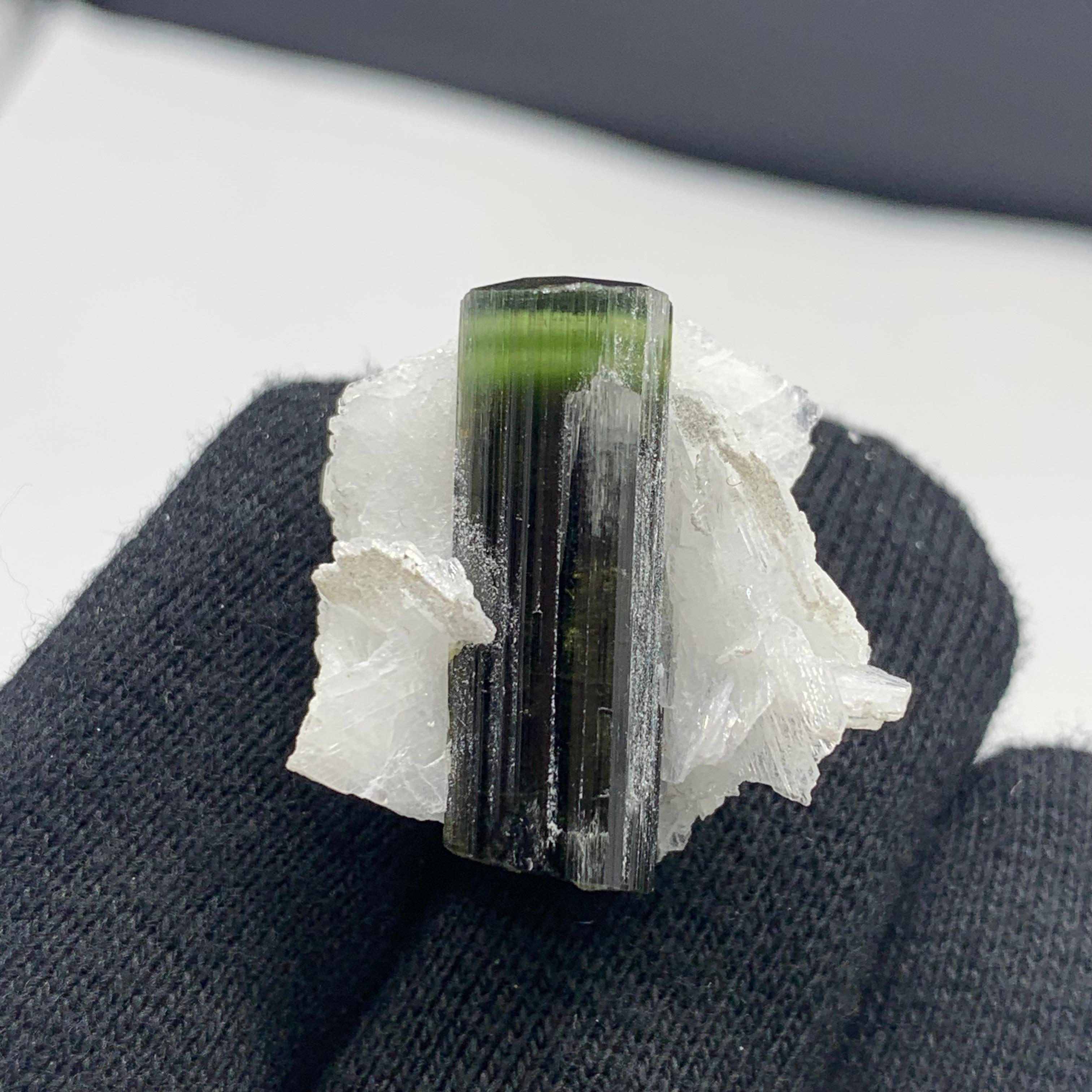 Precioso espécimen de turmalina verde de 12,06 gramos procedente de Skardu, Pakistán Cristal de roca en venta