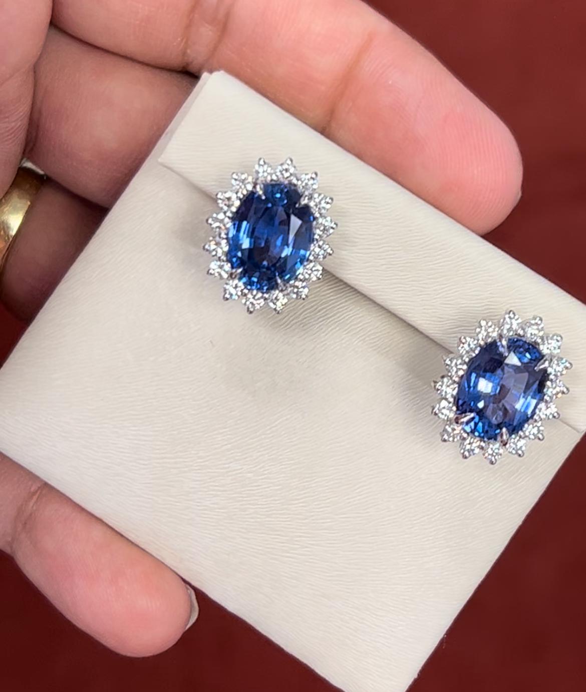 Modern 12.06ct oval Ceylon sapphire earrings in platinum. GIA certified. For Sale