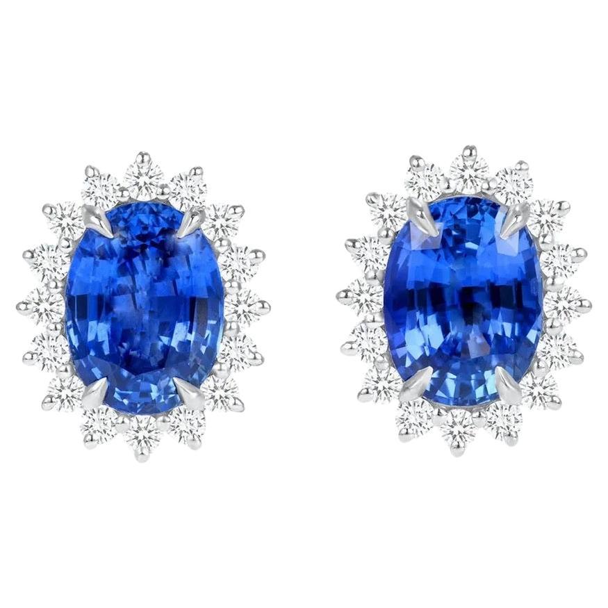 12.06ct oval Ceylon sapphire earrings in platinum. GIA certified. For Sale