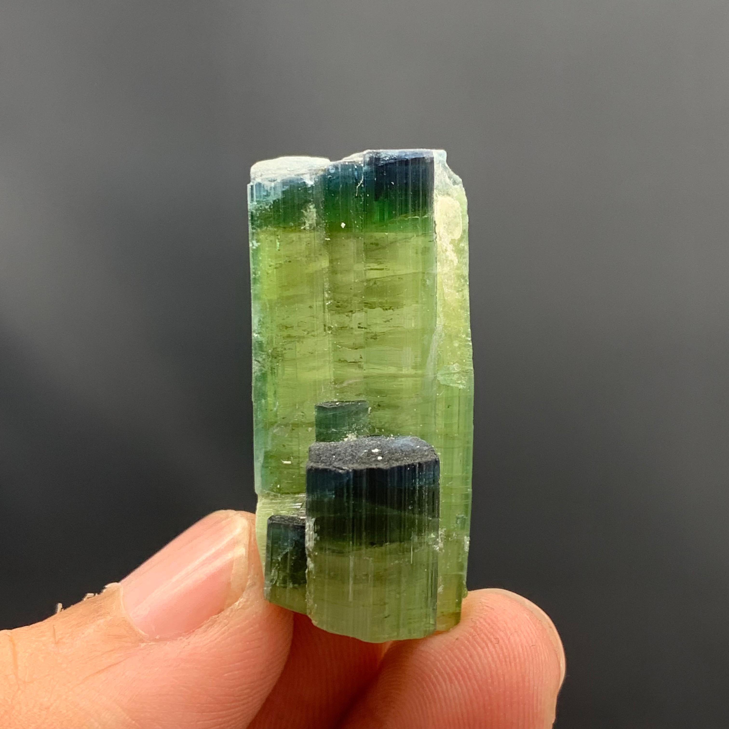 12.08 Gram Tri Color Dual Tourmaline Crystals From Kunar, Afghanistan  In Good Condition For Sale In Peshawar, PK