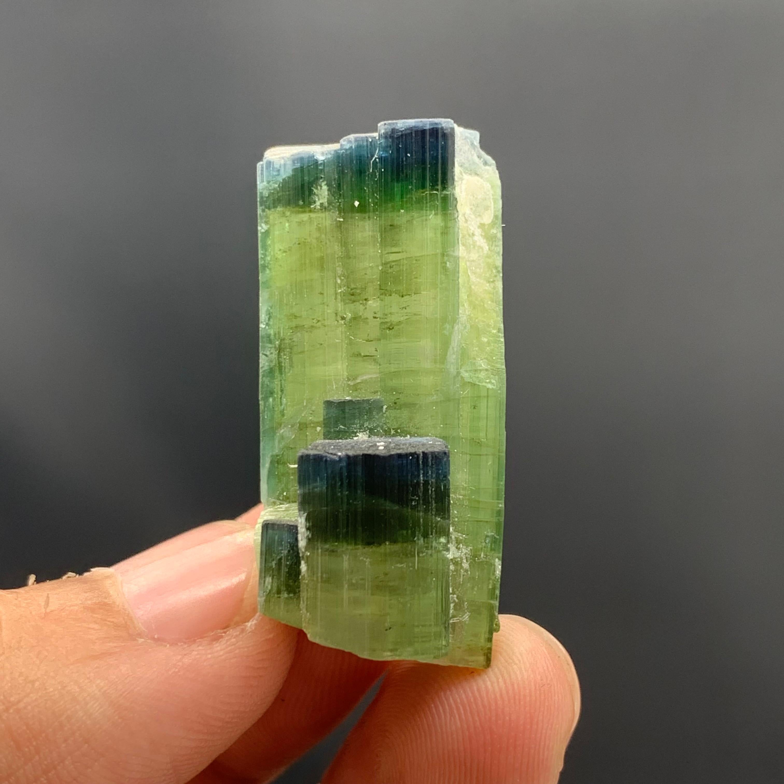 Rock Crystal 12.08 Gram Tri Color Dual Tourmaline Crystals From Kunar, Afghanistan  For Sale