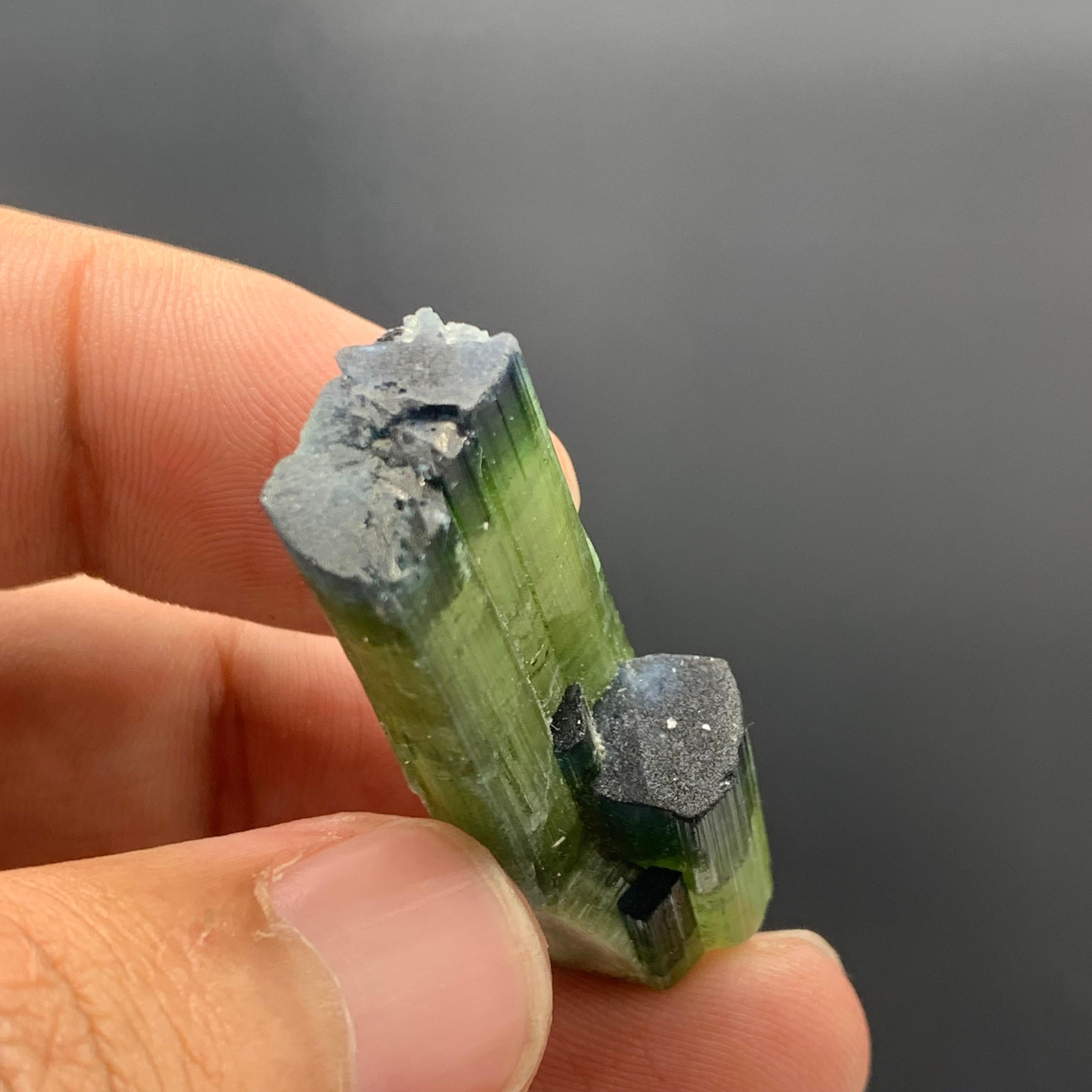 12.08 Gram Tri Color Dual Tourmaline Crystals From Kunar, Afghanistan  For Sale 1
