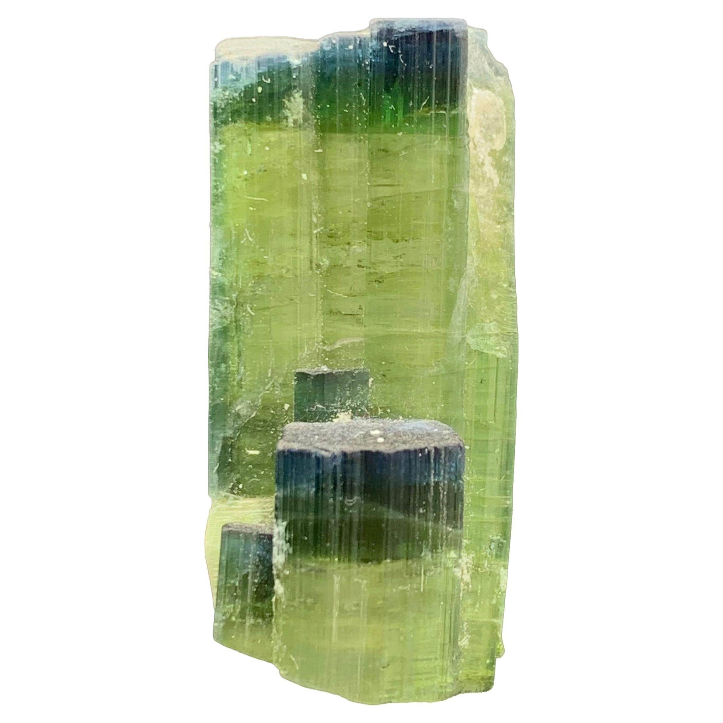 12.08 Gram Tri Color Dual Tourmaline Crystals From Kunar, Afghanistan 