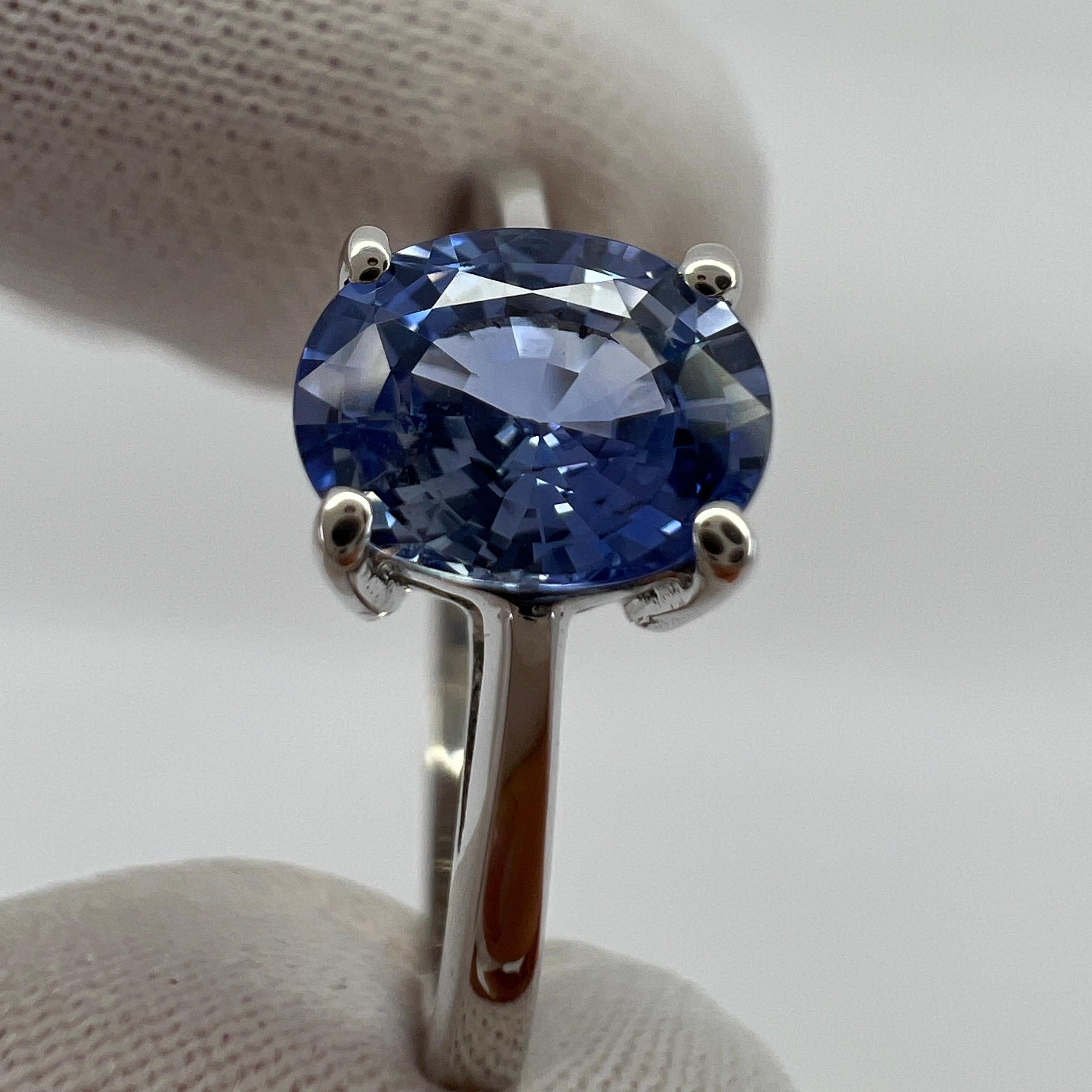 Solitär-Ring aus 18 Karat Weißgold mit lebhaftem hellblauem Ceylon-Saphir im Ovalschliff Damen im Angebot