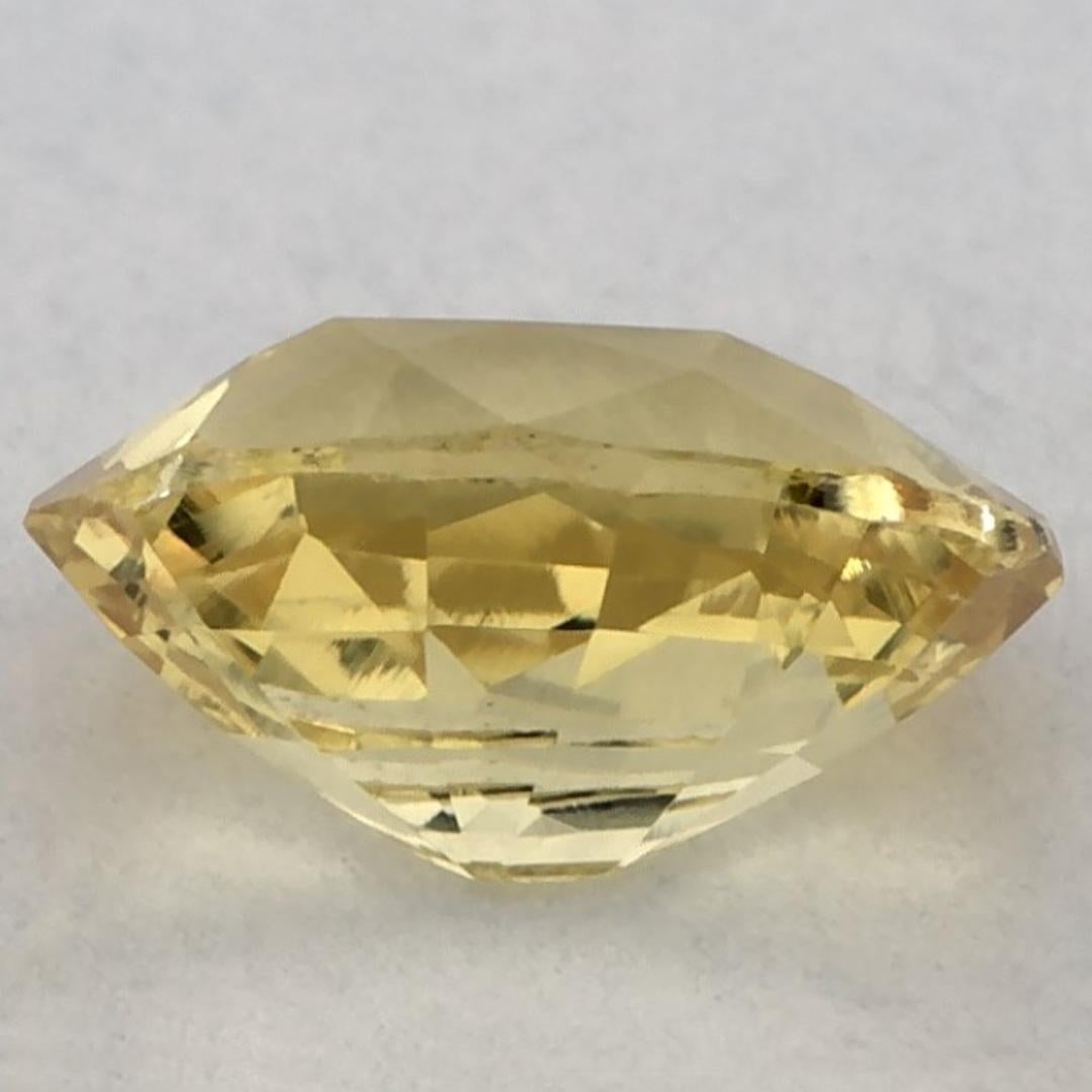 1,21 Karat Gelber Saphir Oval Loser Edelstein im Zustand „Neu“ in Fort Lee, NJ