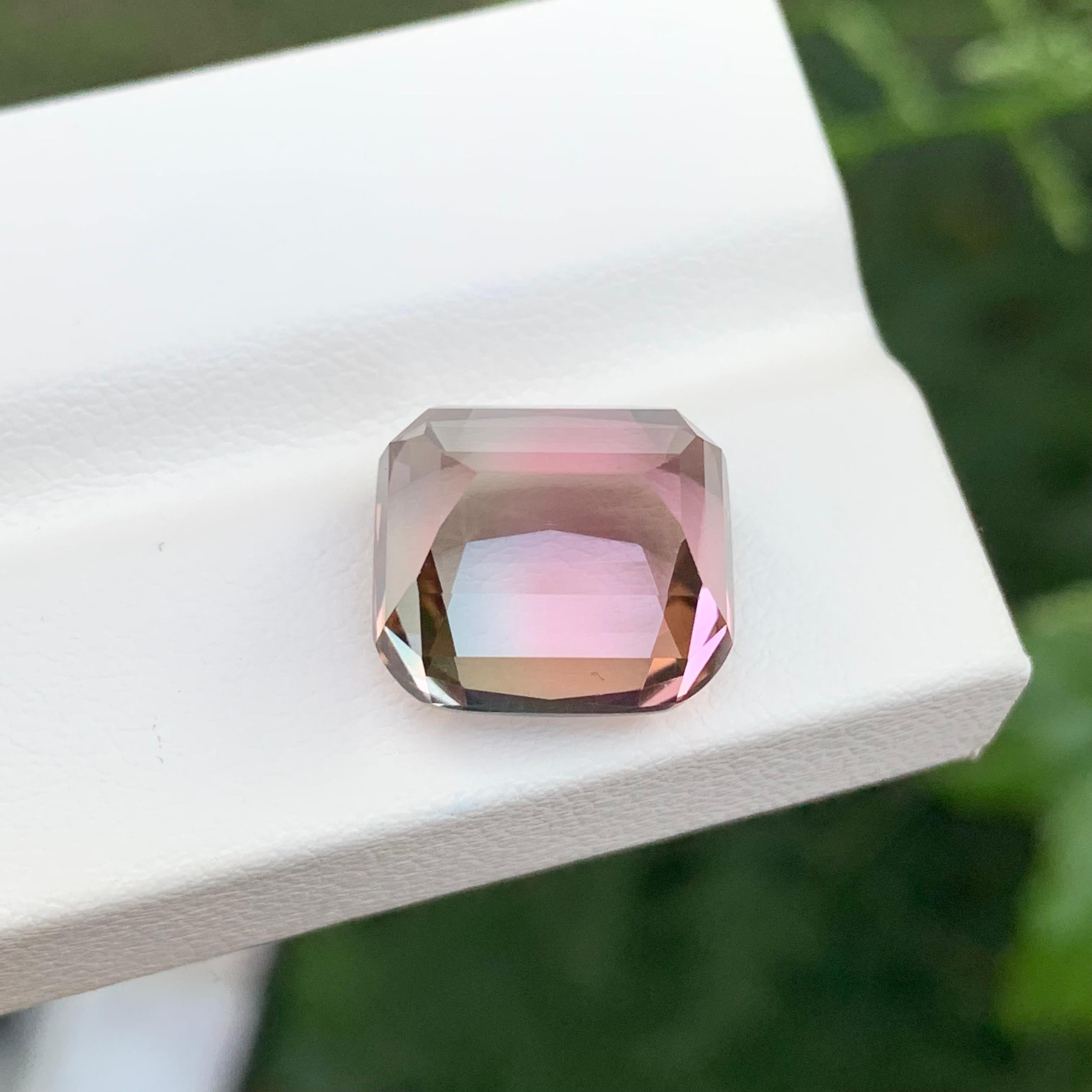 Loose Bi-Colour Tourmaline

Weight: 12.10 Carats
Dimension: 13.1 x 12.3 x 9.2 Mm
Origin: Kunar Afghanistan
Shape: Cushion
Color: Light Pink And Creamy White
Treatment: Non
Certificate: On Demand

Tourmaline is a captivating gemstone known for its