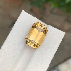 12.10 Karat natürlicher loser gelber Citrin Achteckform Edelstein