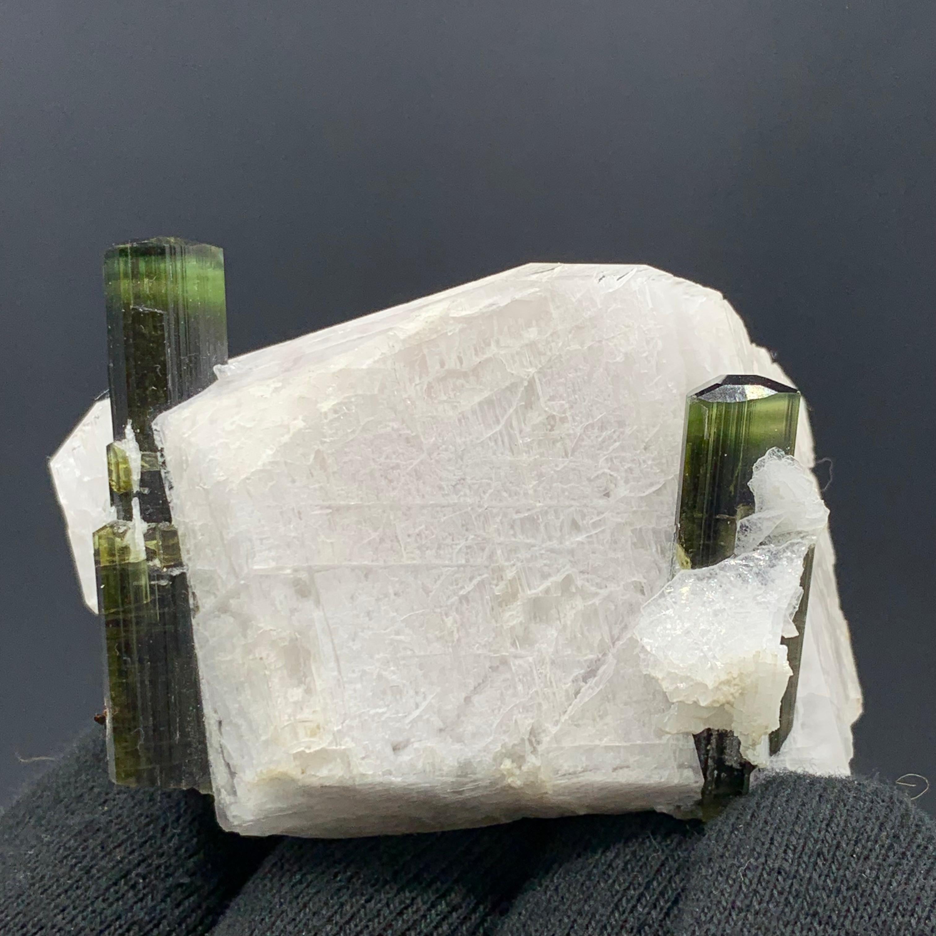 121.32 Gram Pretty Dual Tourmaline Specimen Attached With Feldspar From Pakistan

Weight: 121.32 Gram
Dimension: 4.7 x 4.4 x 3.9 Cm 
Origin: Stak Nala Valley, Pakistan 

Tourmaline is a crystalline silicate mineral group in which boron is compounded