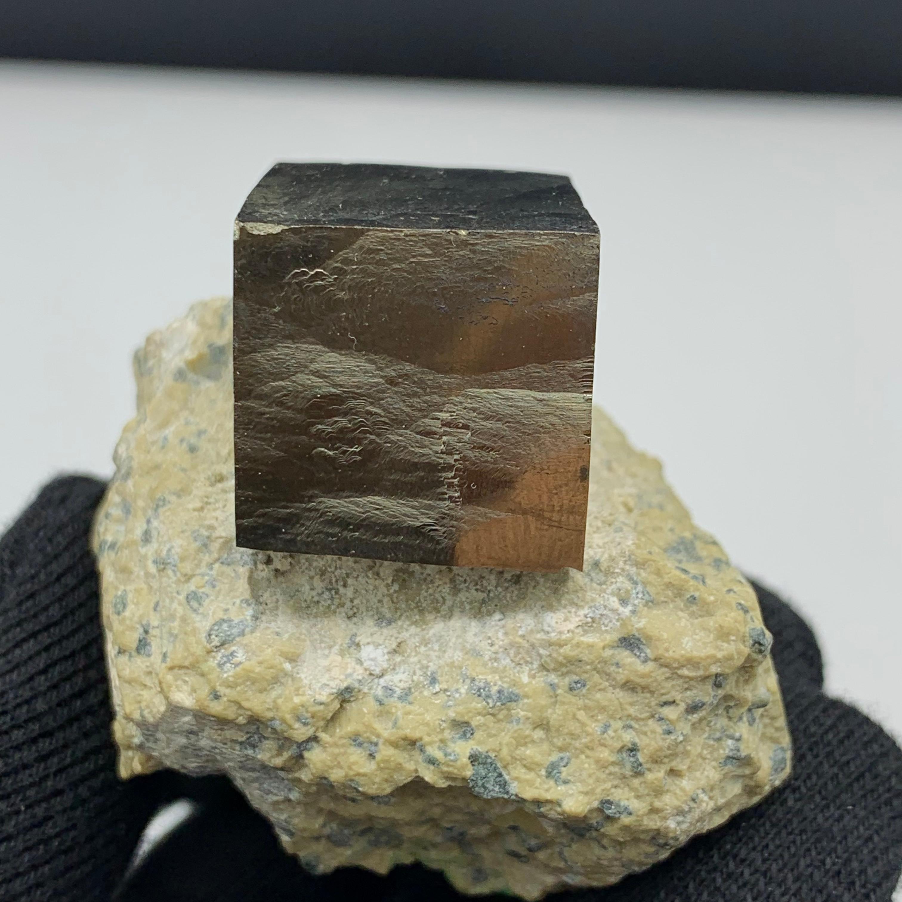 121.53 Gram Lustrous Pyrite Cube On Marl Matrix Rock Specimen From Spain  For Sale 3