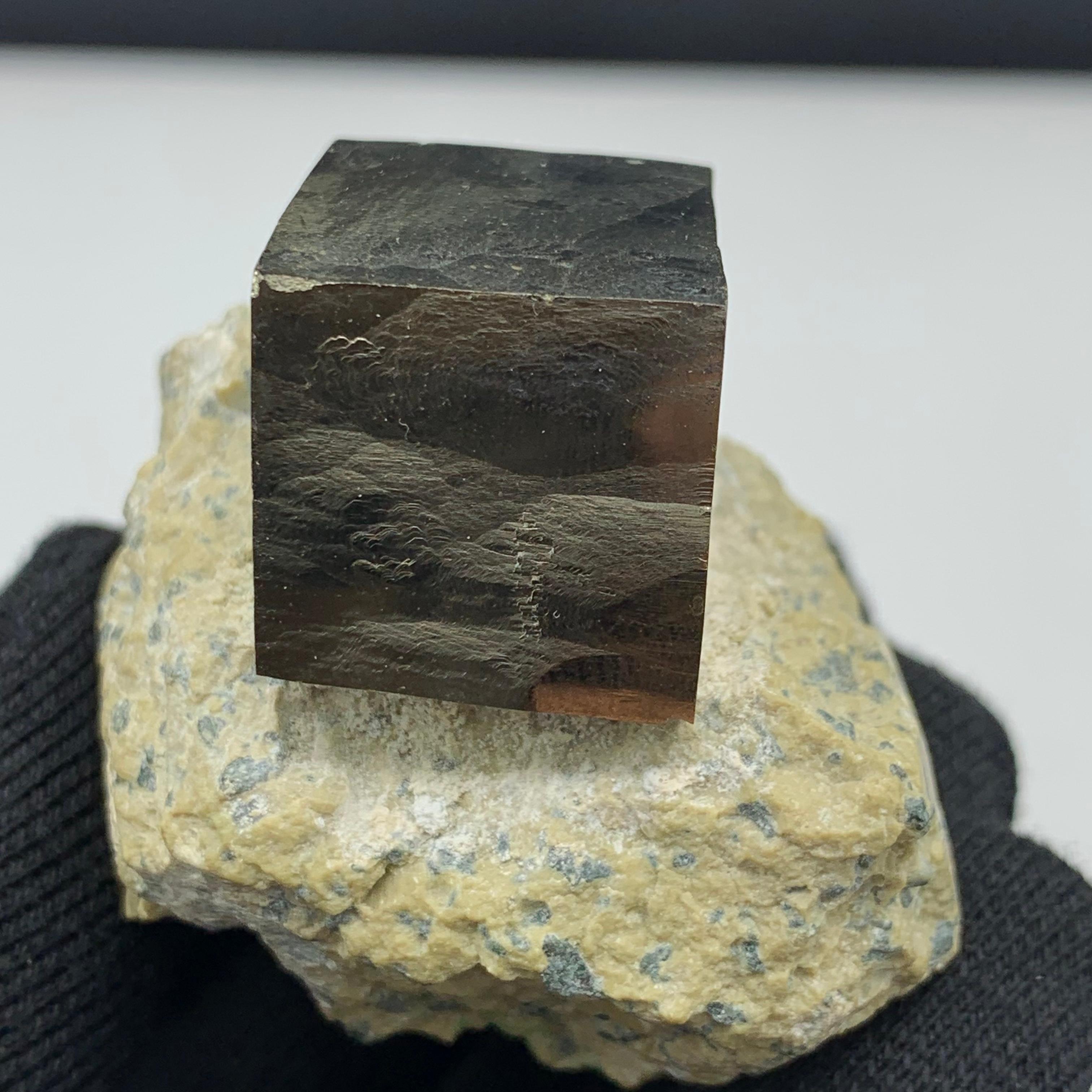 121.53 Gram Lustrous Pyrite Cube On Marl Matrix Rock Specimen From Spain  For Sale 4