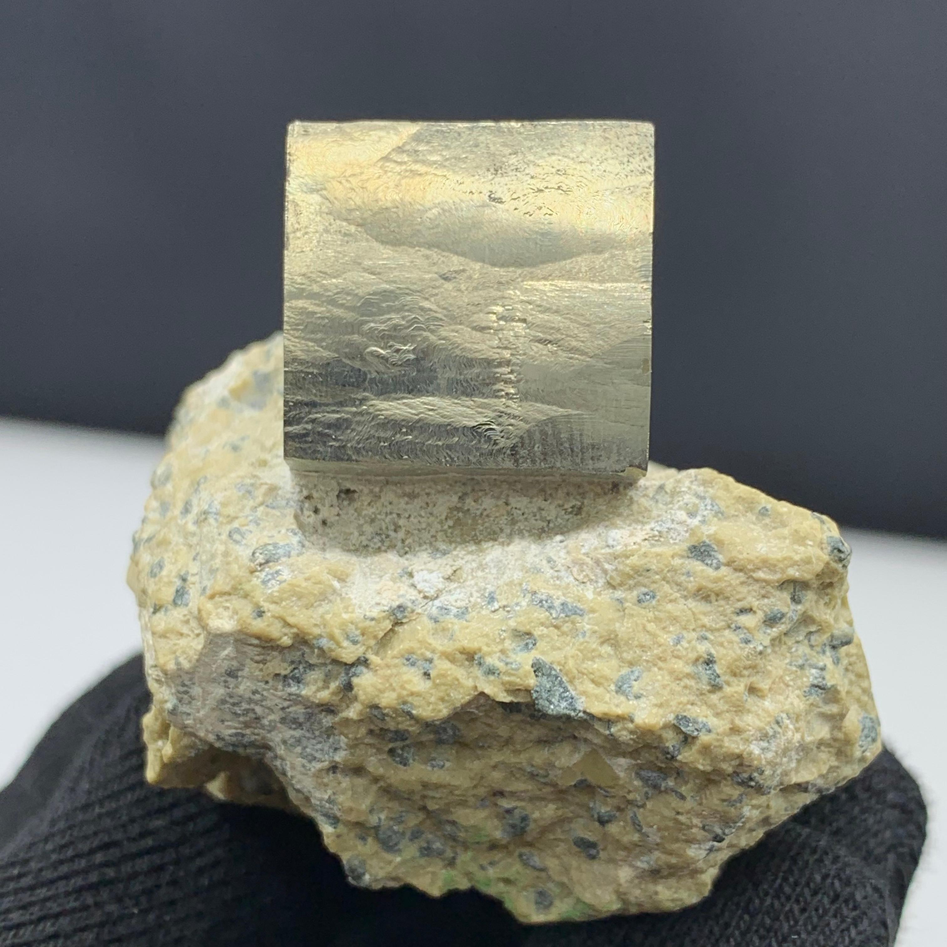 121.53 Gram Lustrous Pyrite Cube On Marl Matrix Rock Specimen From Spain  For Sale 6