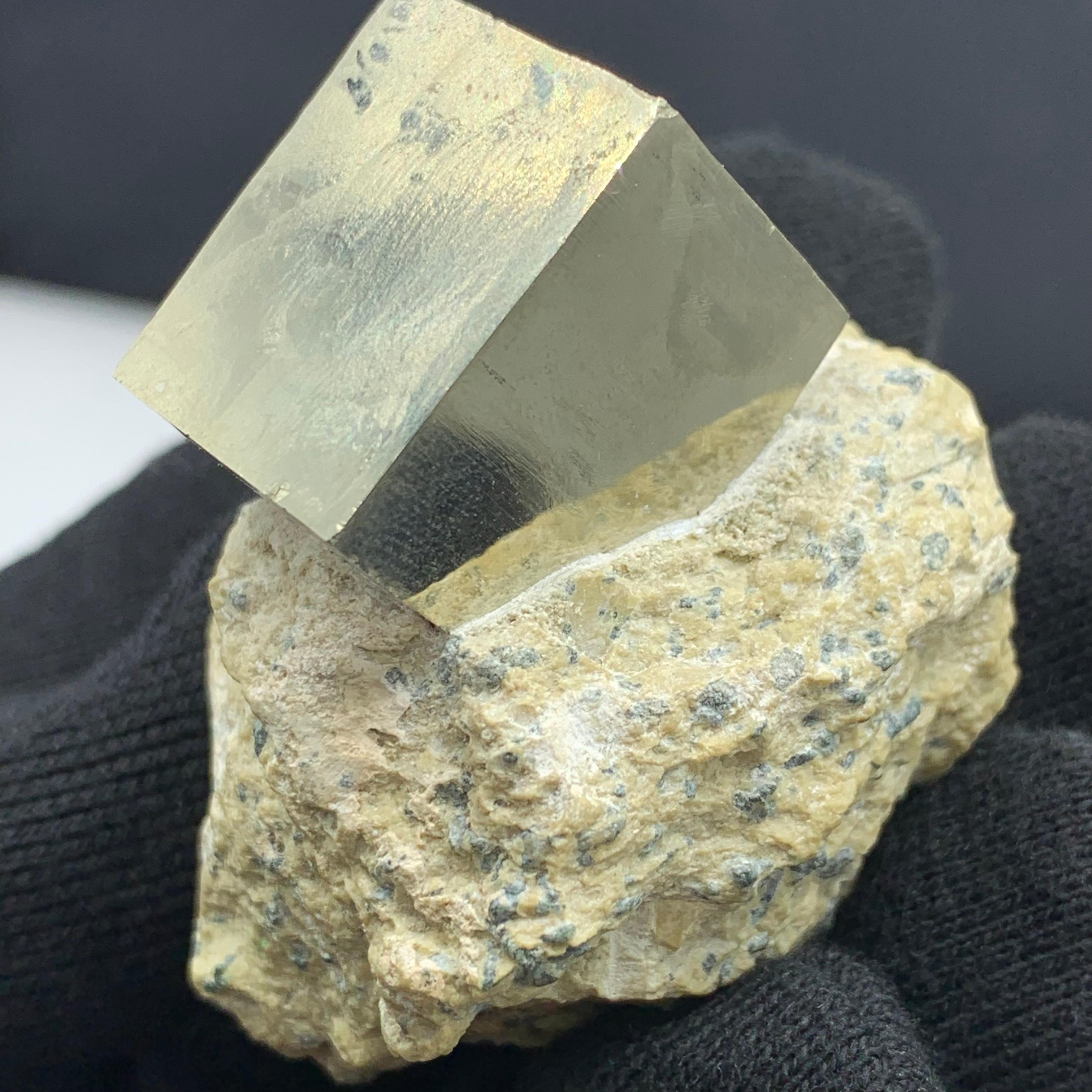 121.53 Gram Lustrous Pyrite Cube On Marl Matrix Rock Specimen From Spain  For Sale 7