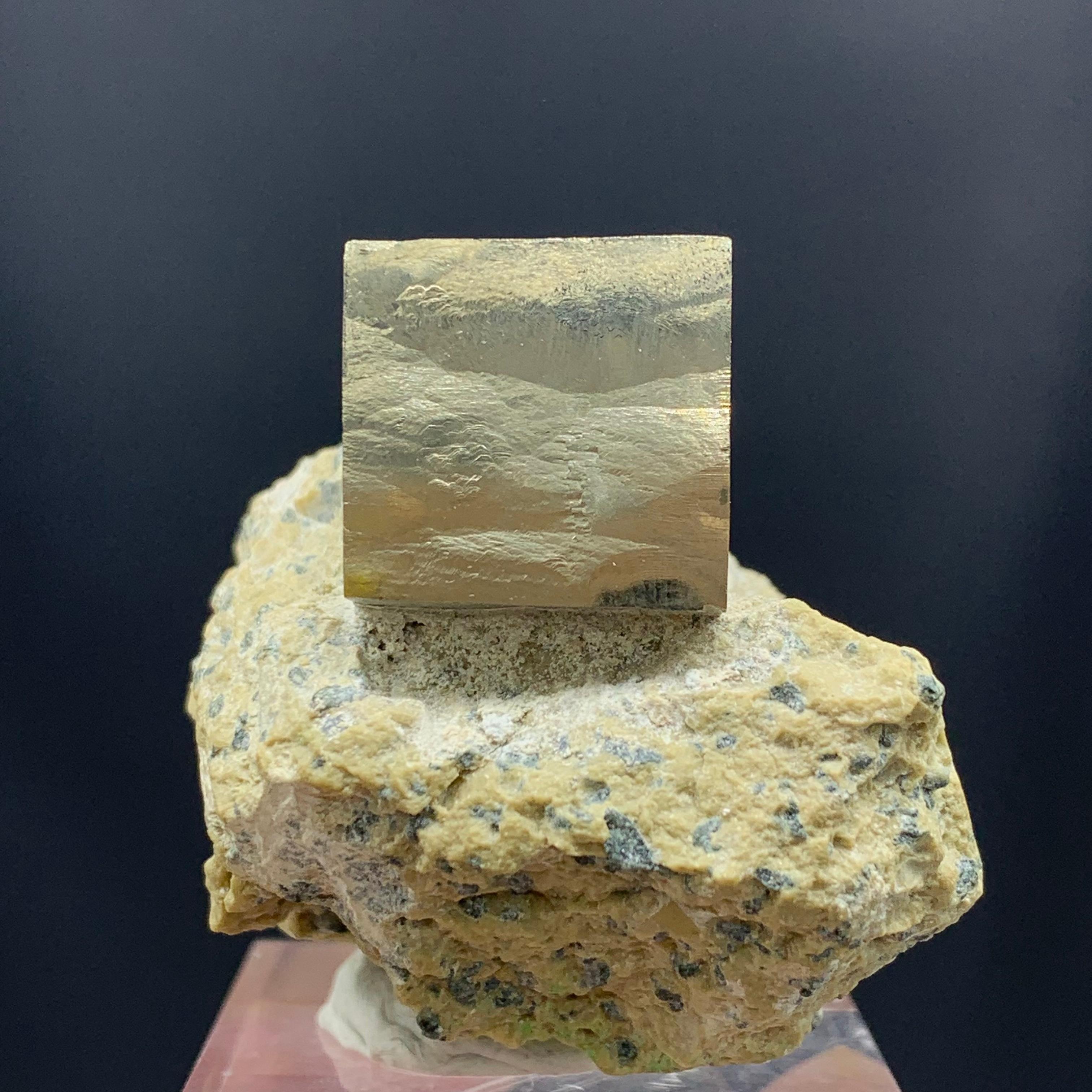 Lustrous Pyrite Cube on Marl Matrix Rock Specimen from Spain
Weight: 121.53 Gram
DIM: 4.3 x 4.1 x 4.8 Cm
Origin: Spain
The mineral pyrite, or iron pyrite, also known as fool's gold, is an iron sulphide with the chemical formula FeS2. Pyrite is