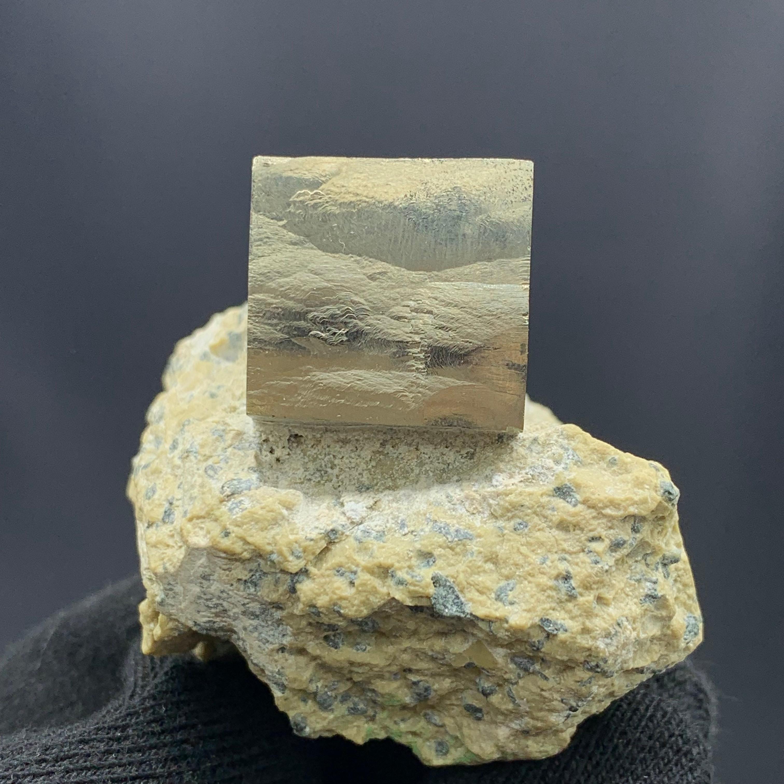Other 121.53 Gram Lustrous Pyrite Cube On Marl Matrix Rock Specimen From Spain  For Sale