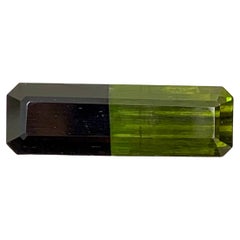 12.20 Carat Natural Loose Bi Color Tourmaline Emerald Cut Pakistan Gemstone
