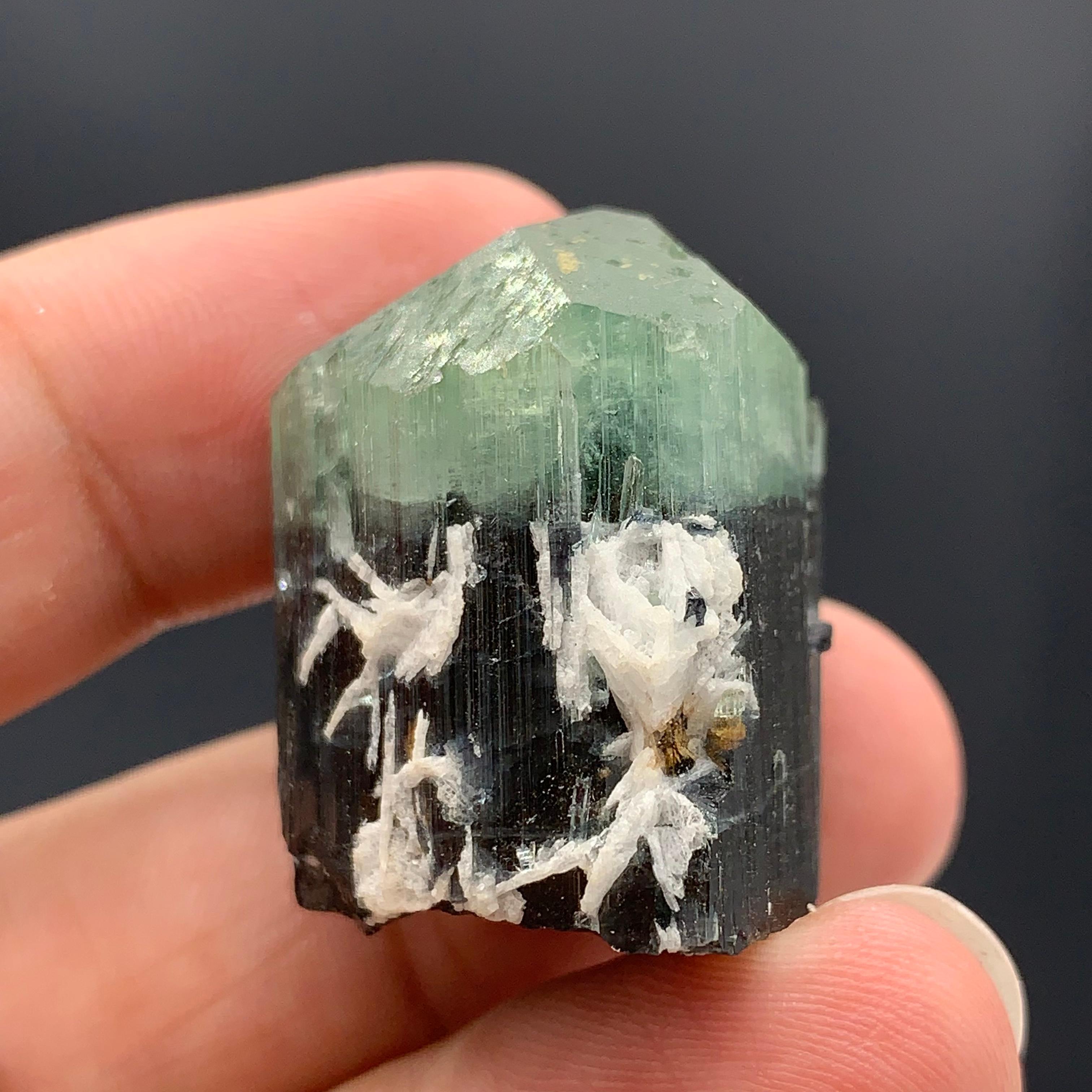 122.80 Carats Bi Color Tourmaline Specimen From Kunar Afghanistan  For Sale 6