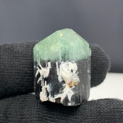 Spécimen de tourmaline bicolore 122,80 carats provenant de l'Afghanistan