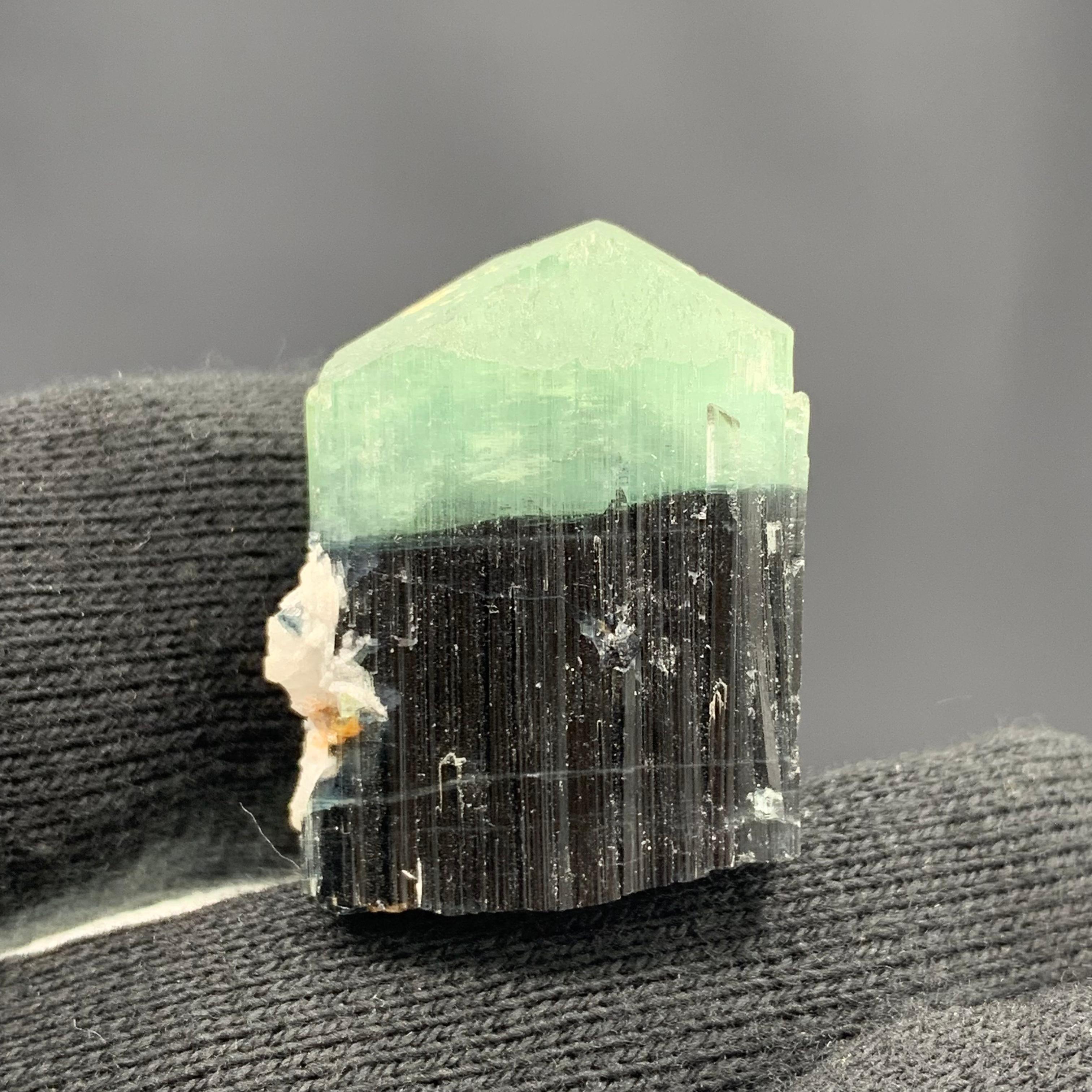 Other 122.80 Carats Bi Color Tourmaline Specimen From Kunar Afghanistan  For Sale