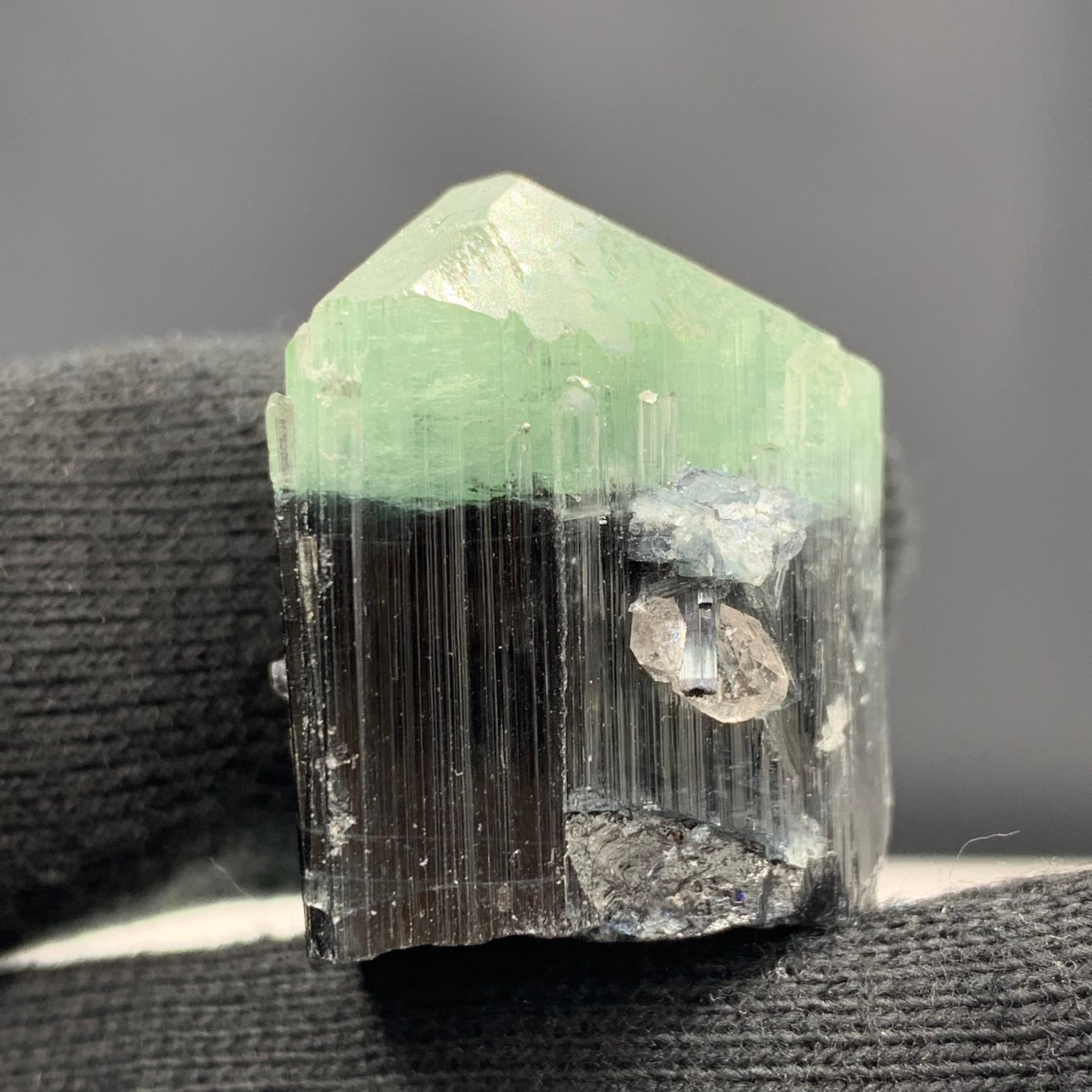 122.80 Carats Bi Color Tourmaline Specimen From Kunar Afghanistan  In Good Condition For Sale In Peshawar, PK