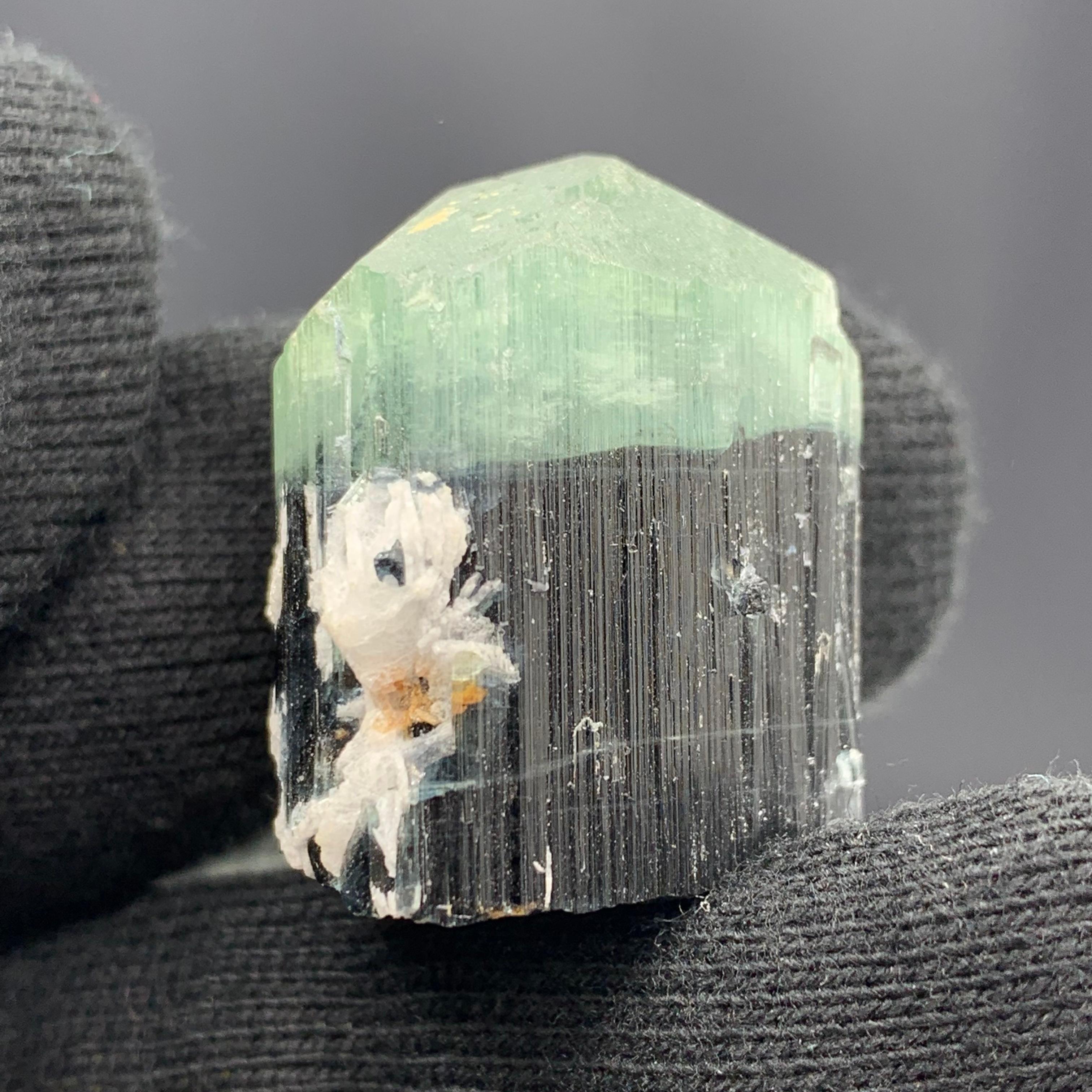 18th Century and Earlier 122.80 Carats Bi Color Tourmaline Specimen From Kunar Afghanistan  For Sale