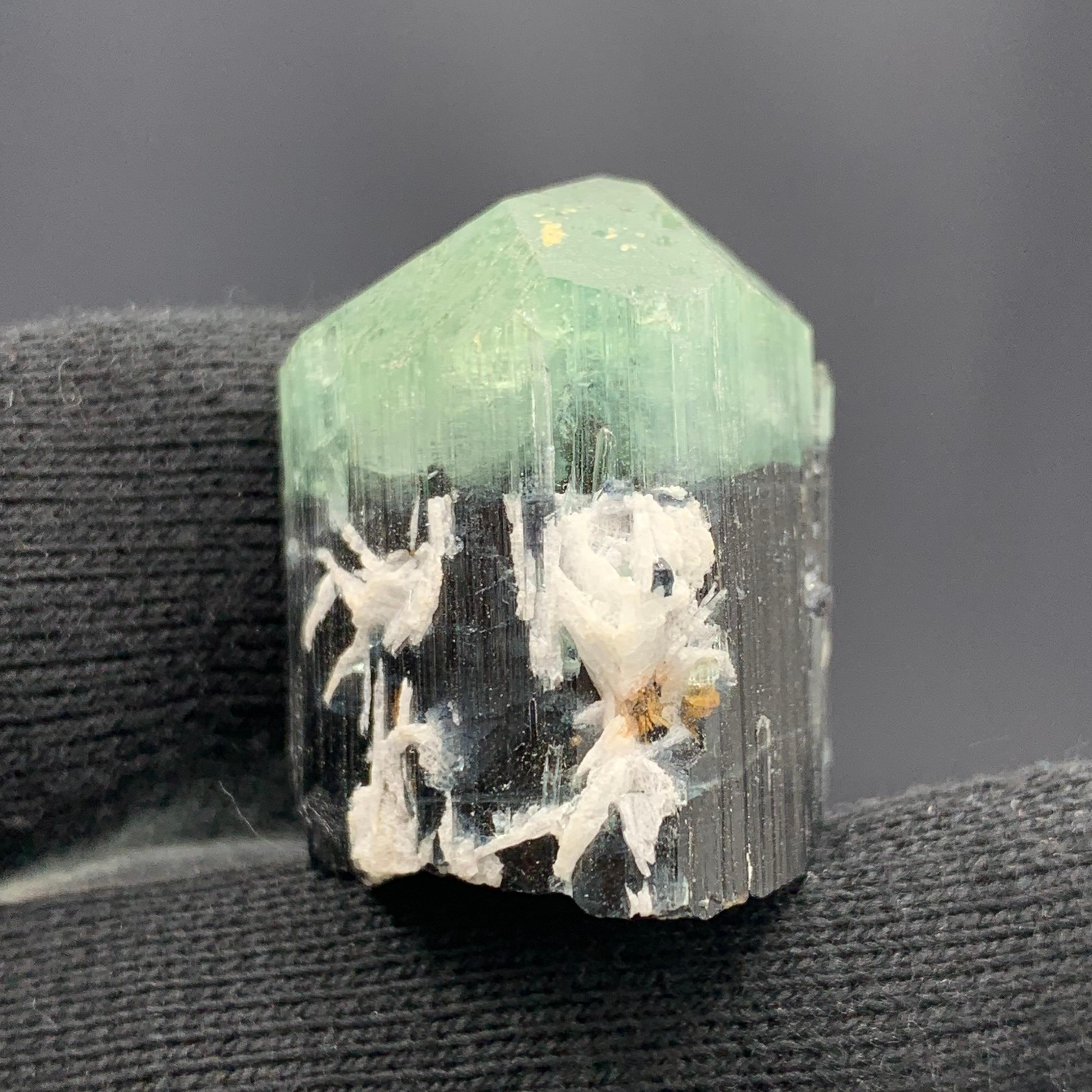 Cristal de roche Spécimen de tourmaline bicolore 122,80 carats provenant de l'Afghanistan  en vente