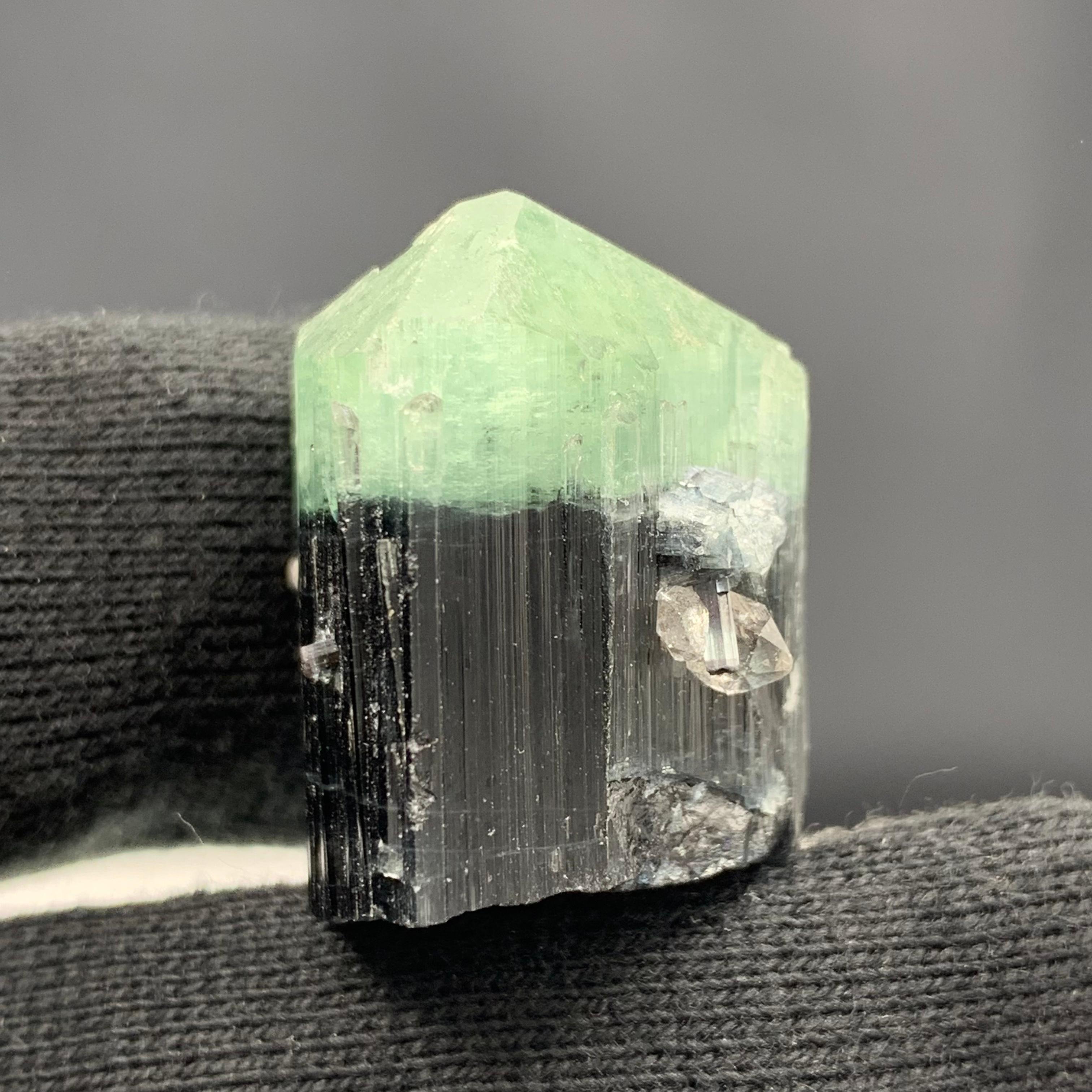 122.80 Carats Bi Color Tourmaline Specimen From Kunar Afghanistan  For Sale 2