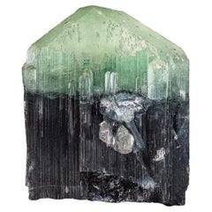 Spécimen de tourmaline bicolore 122,80 carats provenant de l'Afghanistan 