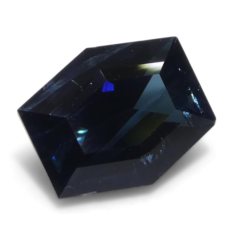 Tourmaline indicolite bleue taille hexagonale/coffin de 1,22 carat en vente 4