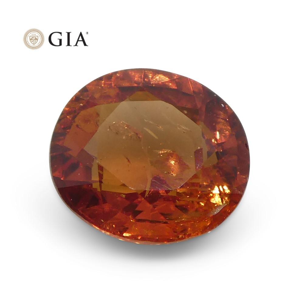 1.22ct Oval Reddish Orange Saffron Sapphire GIA Certified East Africa Unheated For Sale 2