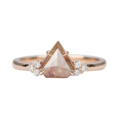 1.22ct Salt and Pepper Diamond 14k Rose Gold Engagement Ring Trio Diamond AD2370