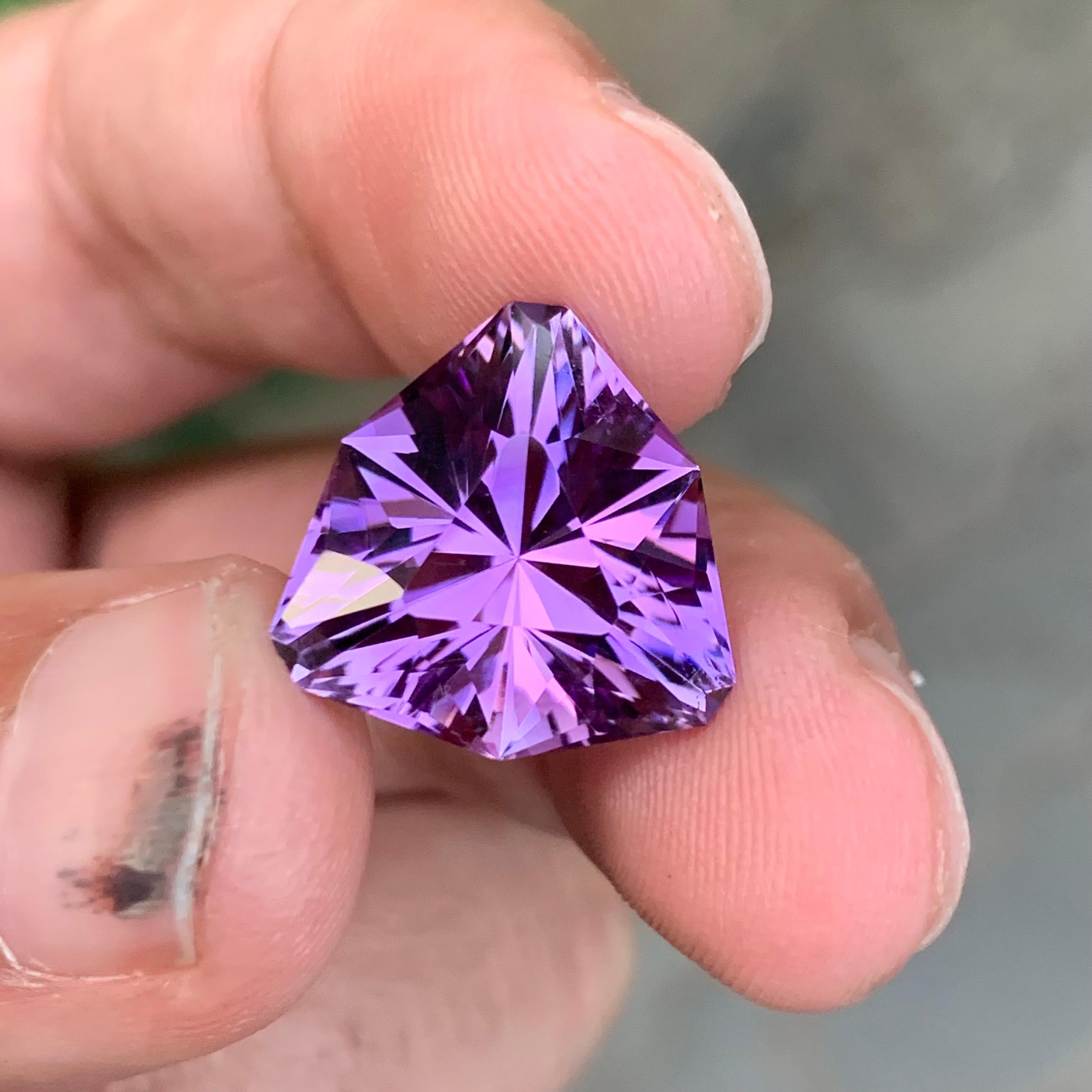 12,30 Karat Natürlicher loser Amethyst Schildform Edelstein im Angebot 2