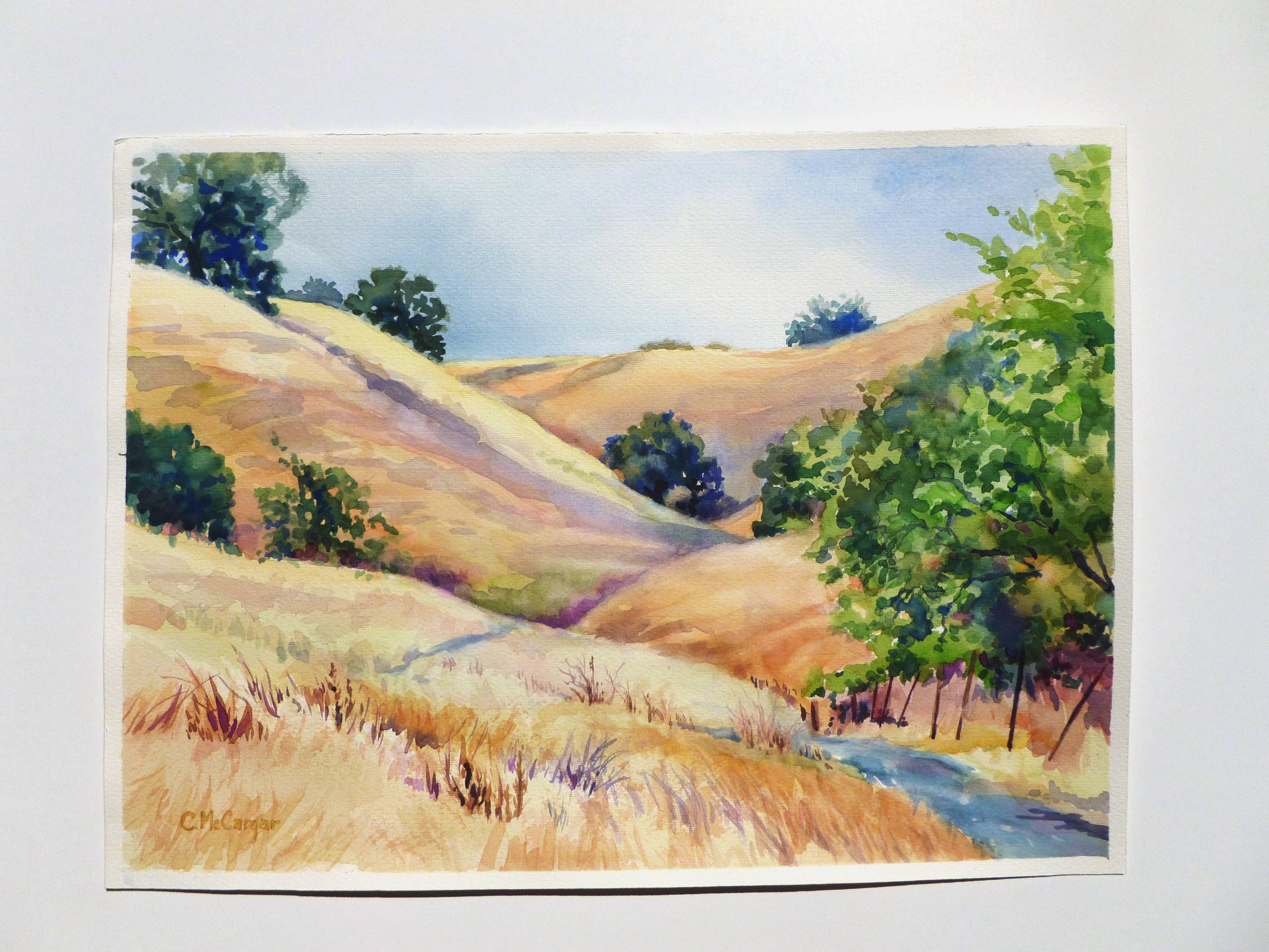 Sugarloaf Hills, Summer - Impressionist Art by Catherine McCargar