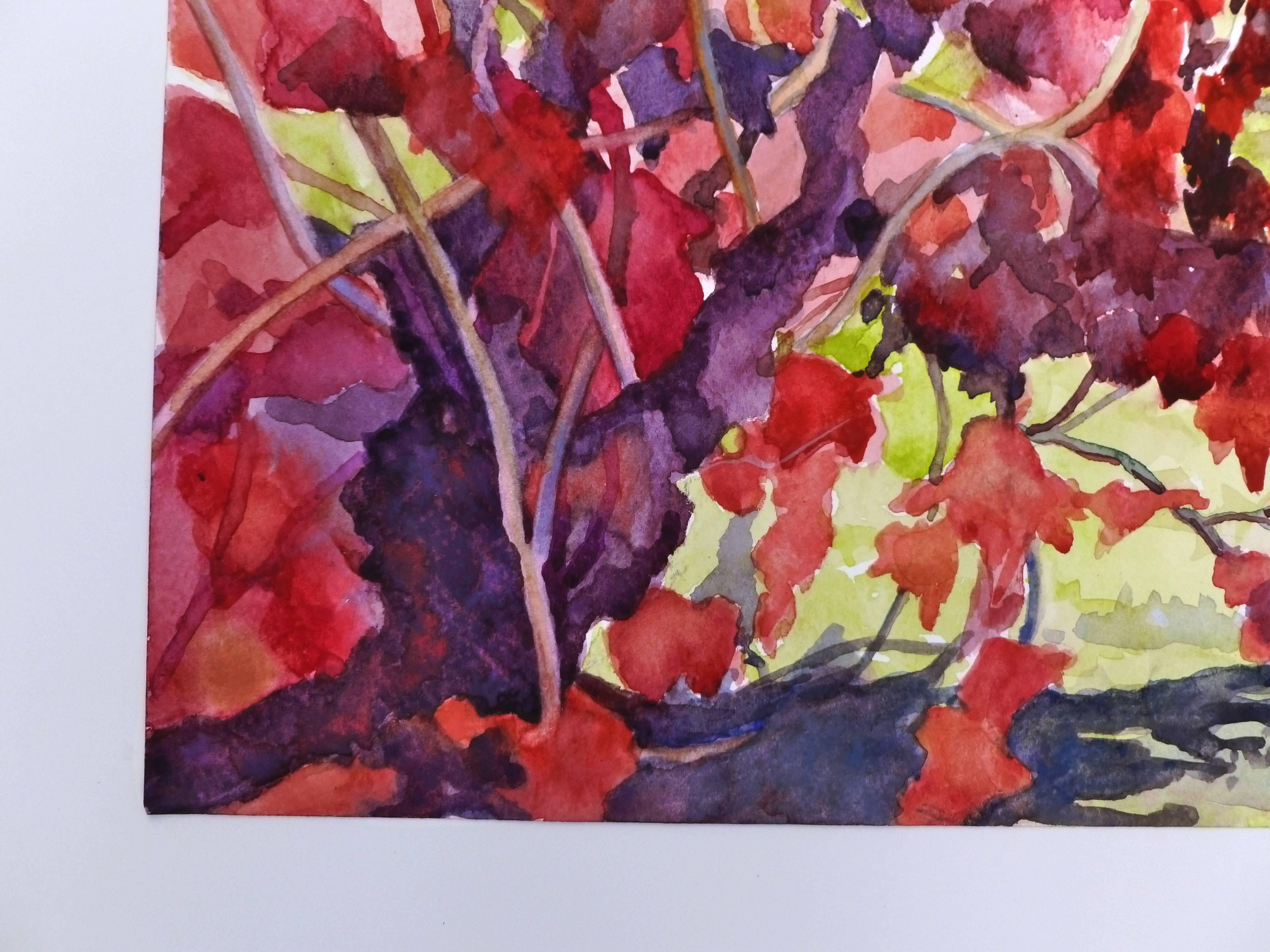Sonoma Red - Art by Catherine McCargar
