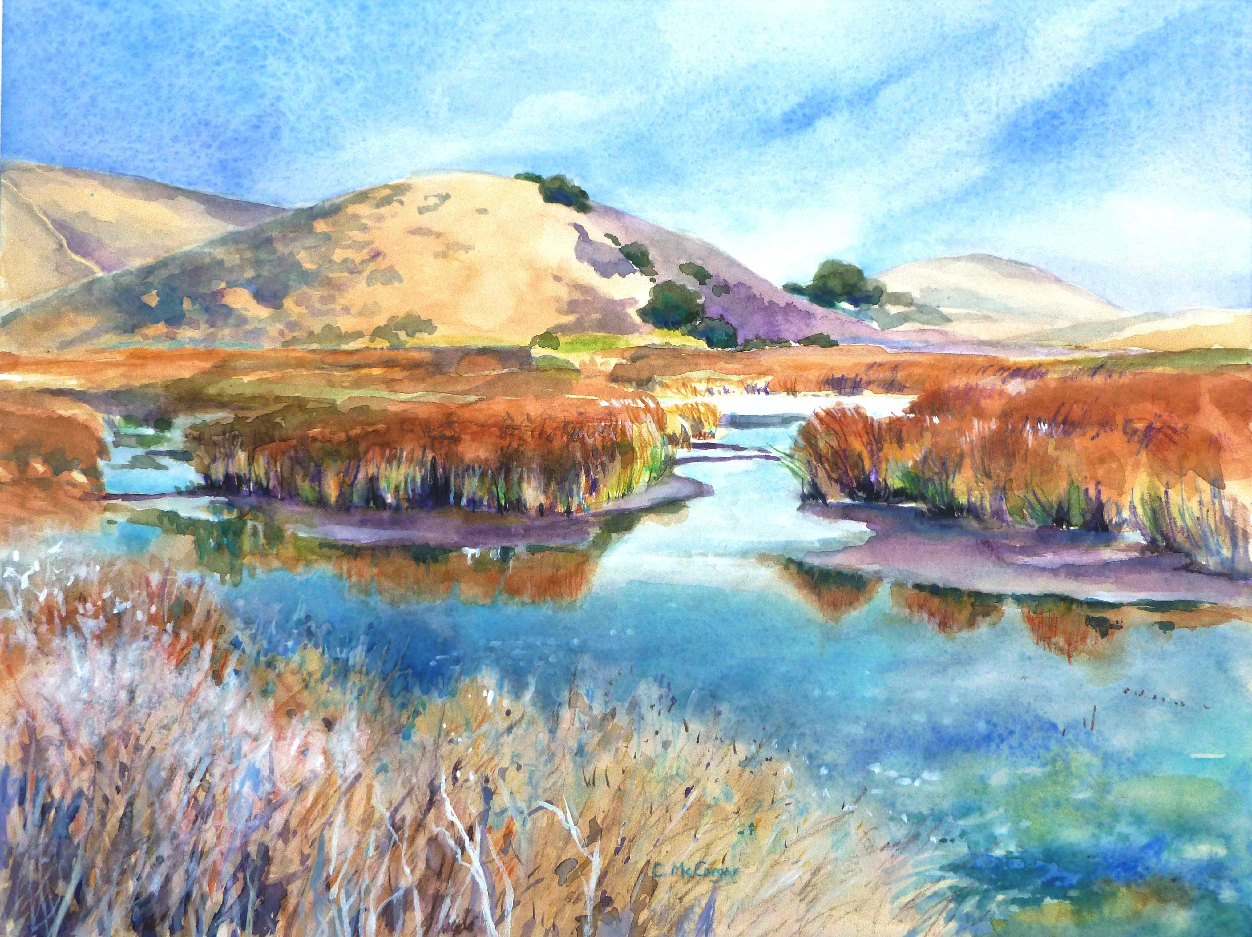 Catherine McCargar Landscape Art - Coyote Hills Wetlands