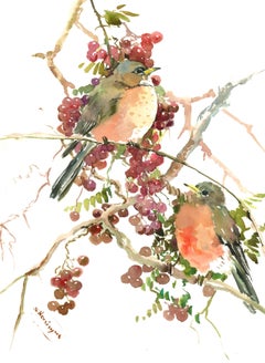 American Robins and Berries