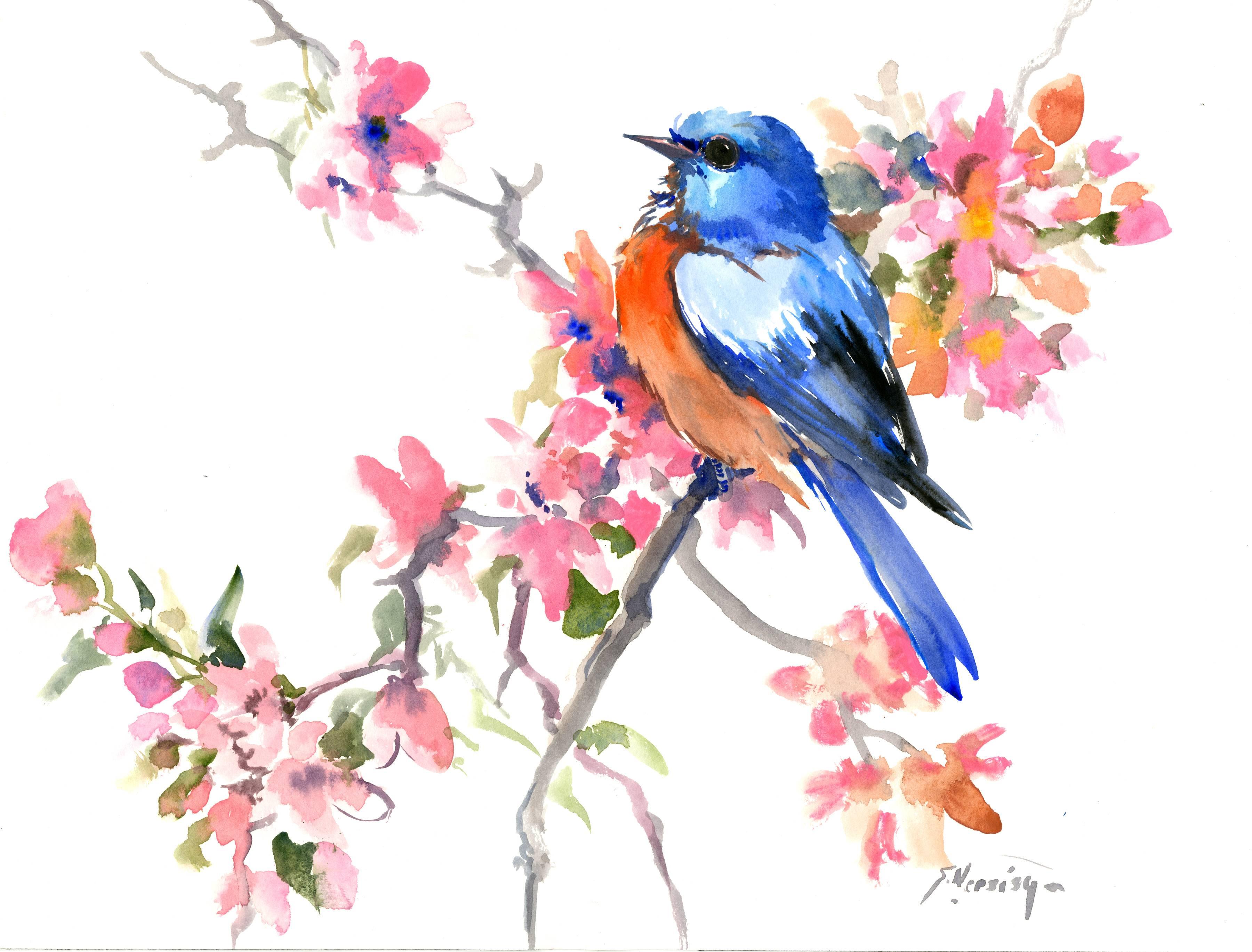 Suren Nersisyan Animal Art - Spring, Bluebird and Sakura Blossom