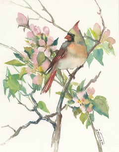 Cardinal and Apple Tree Blossom