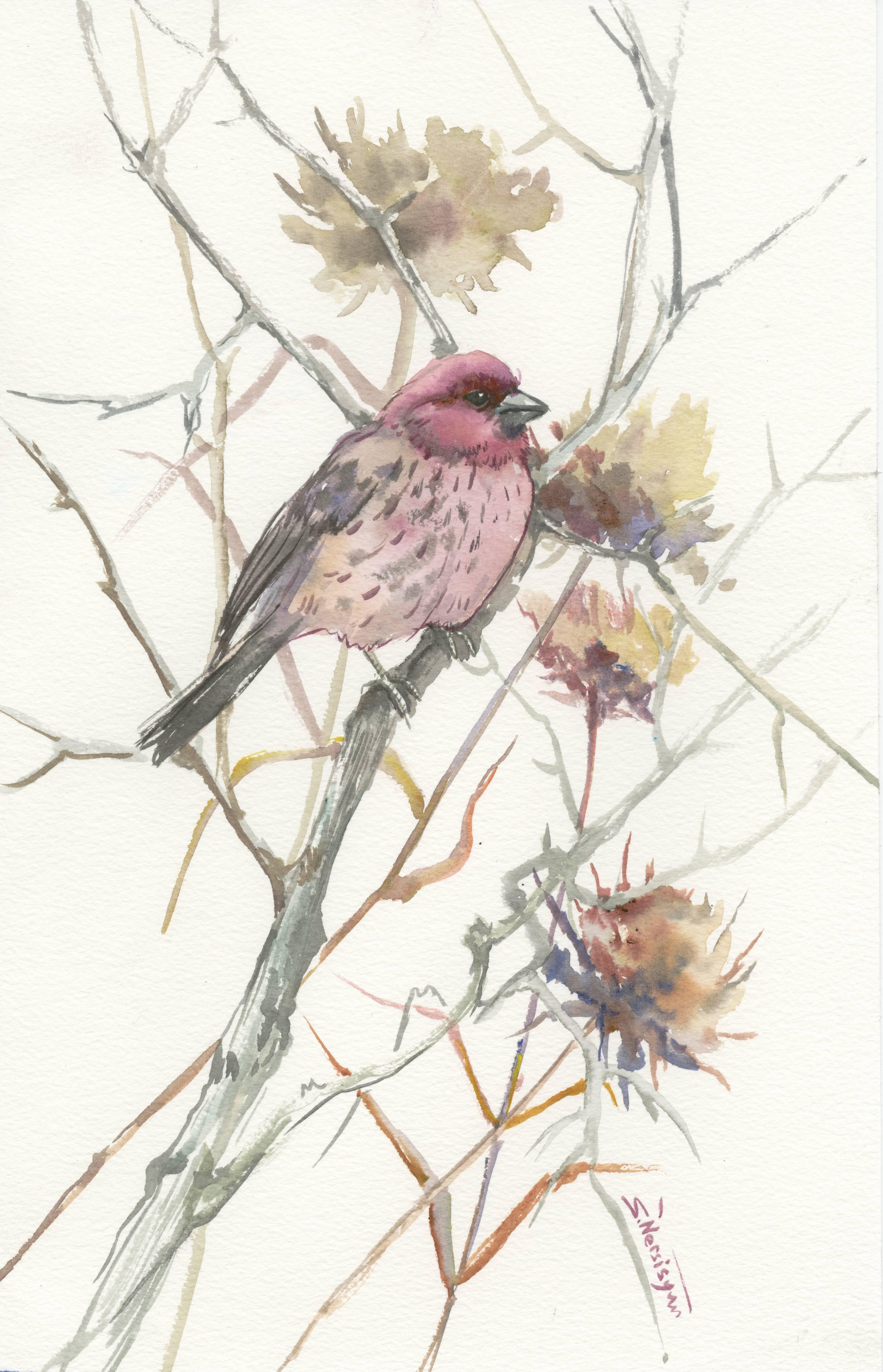 Animal Art de Suren Nersisyan - House Finch in the Field (Vertical)